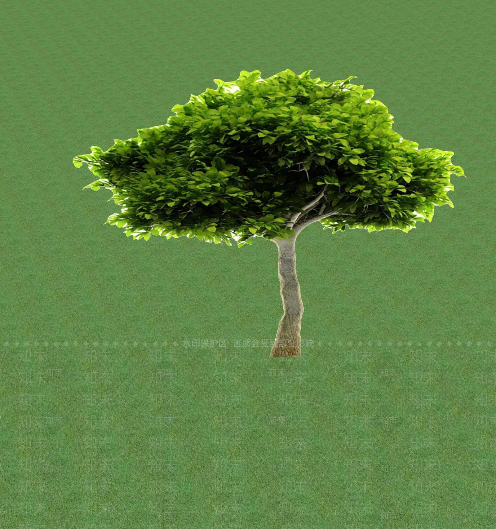 2D乔木SU模型下载【ID:1201365728】