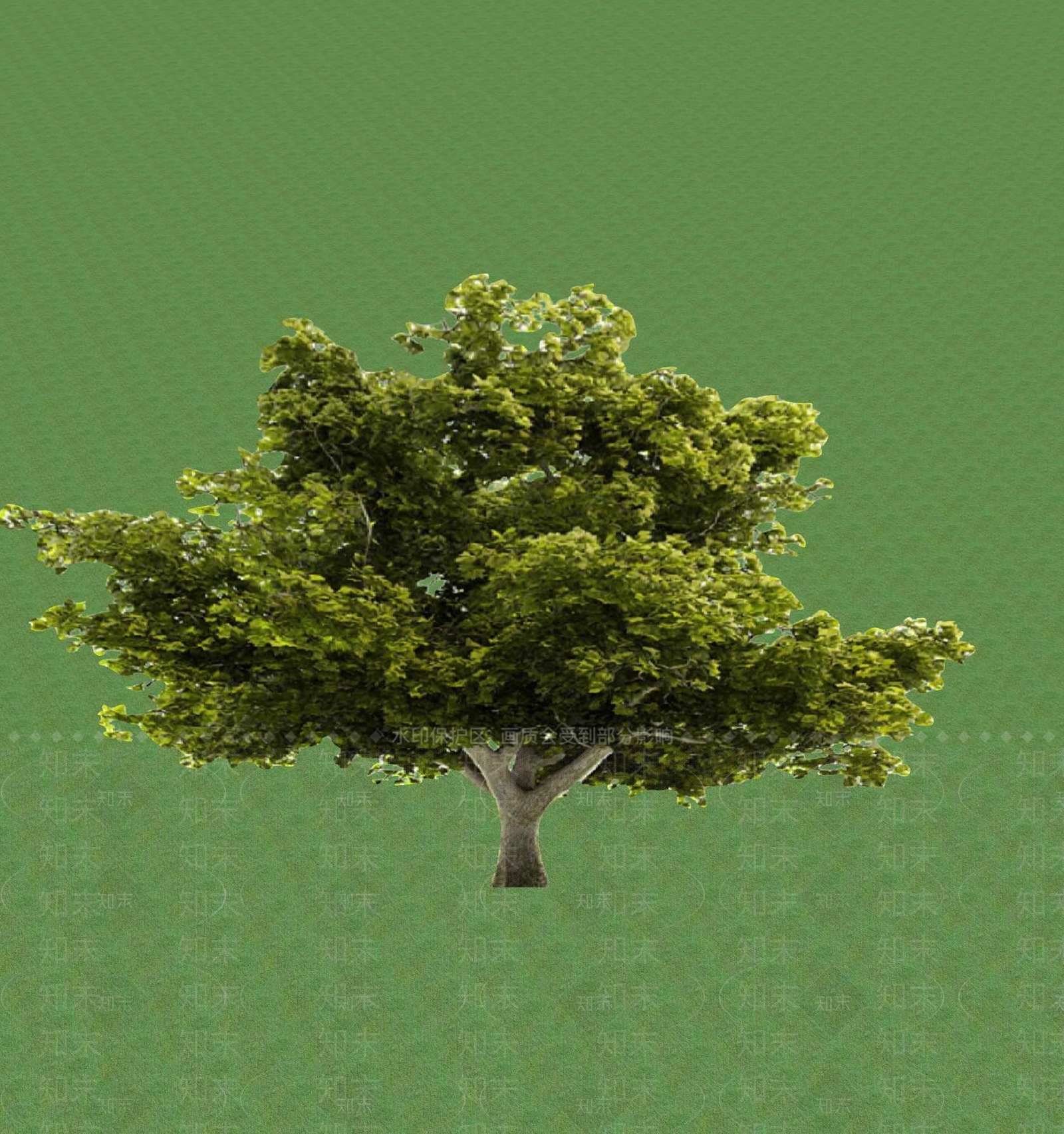 2D乔木SU模型下载【ID:1201365900】