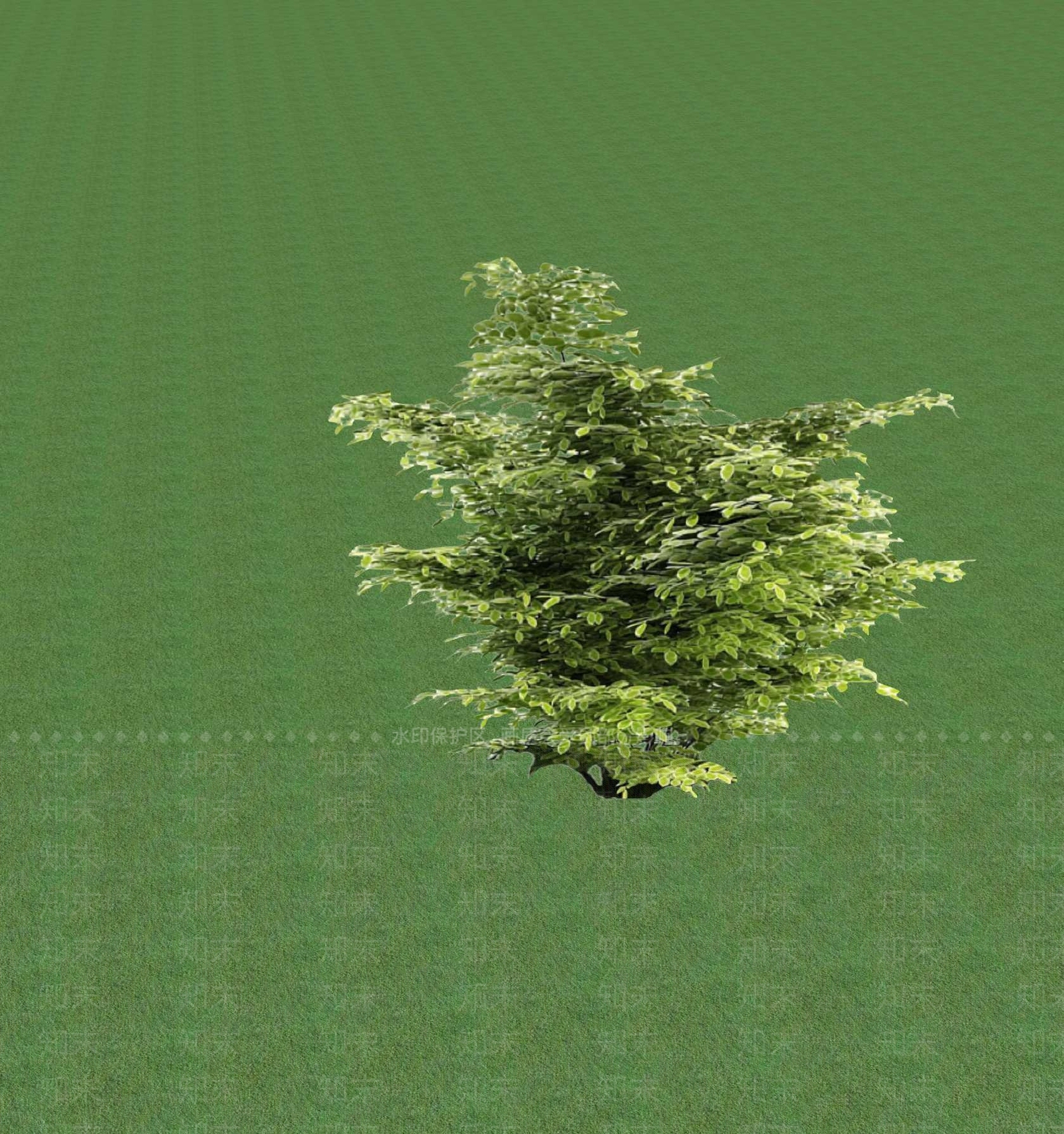 2D乔木SU模型下载【ID:1201366264】