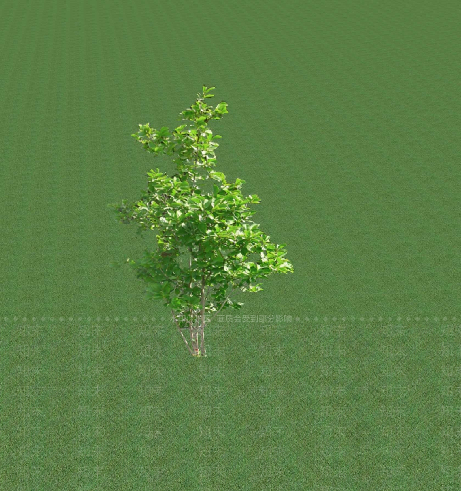 2D乔木SU模型下载【ID:1201366464】