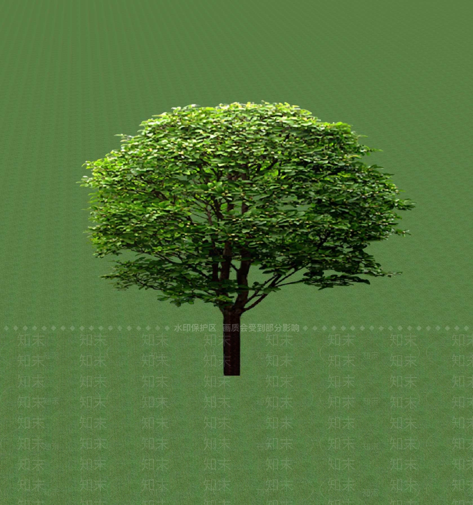 2D乔木SU模型下载【ID:1201366439】