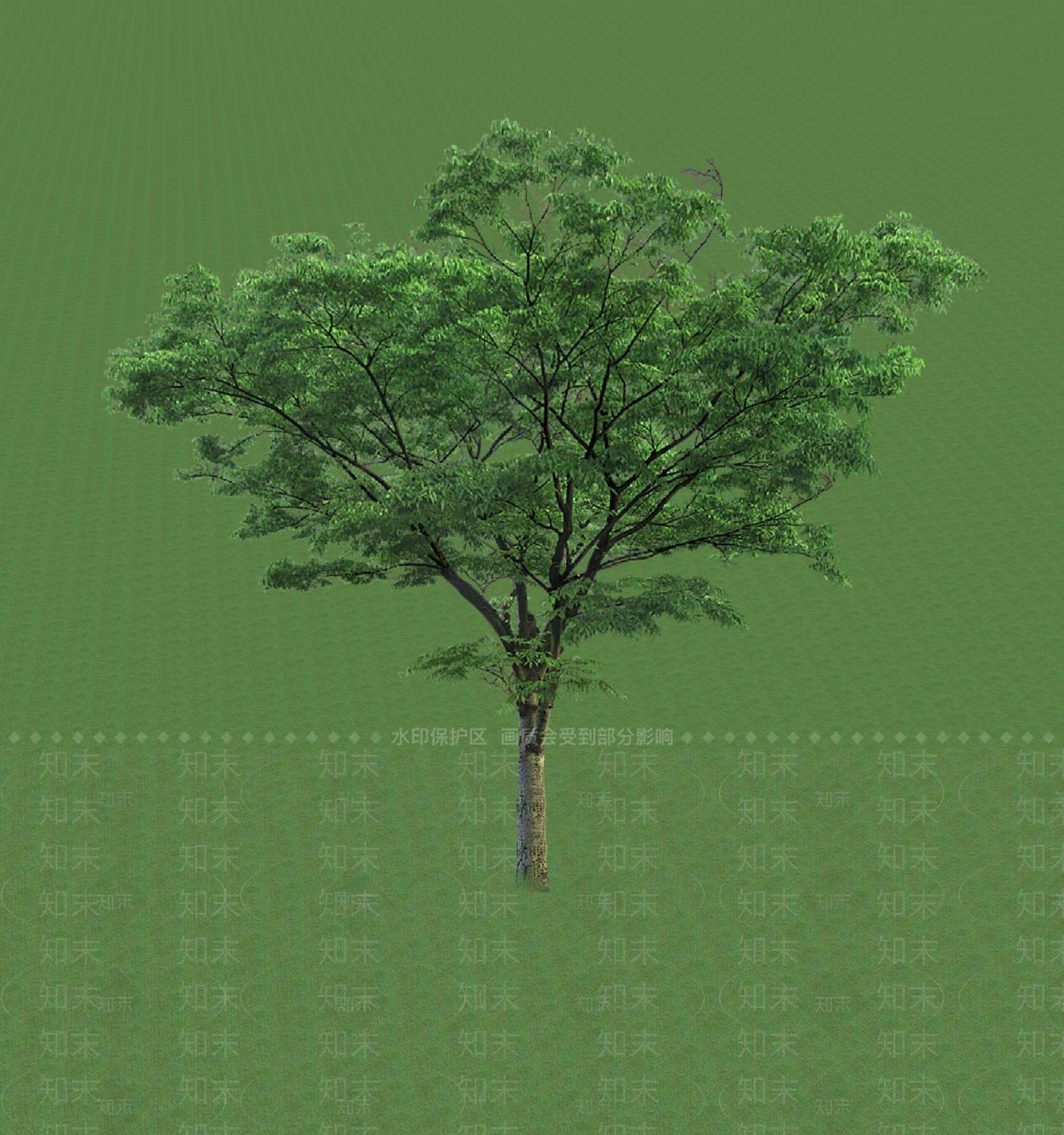 2D乔木SU模型下载【ID:1201366538】