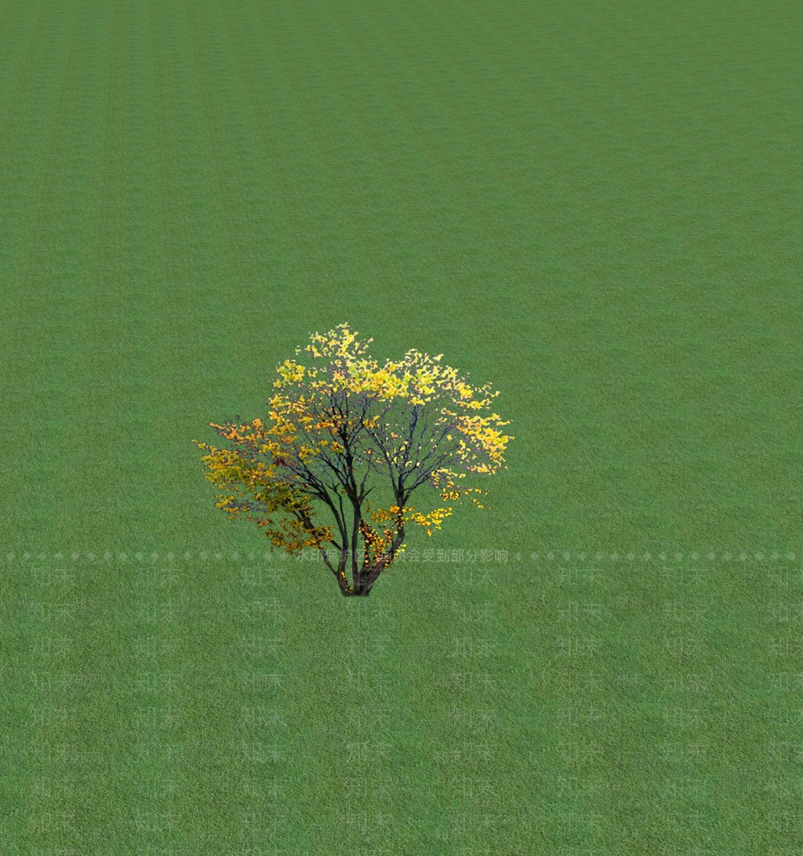 2D乔木SU模型下载【ID:1201367015】