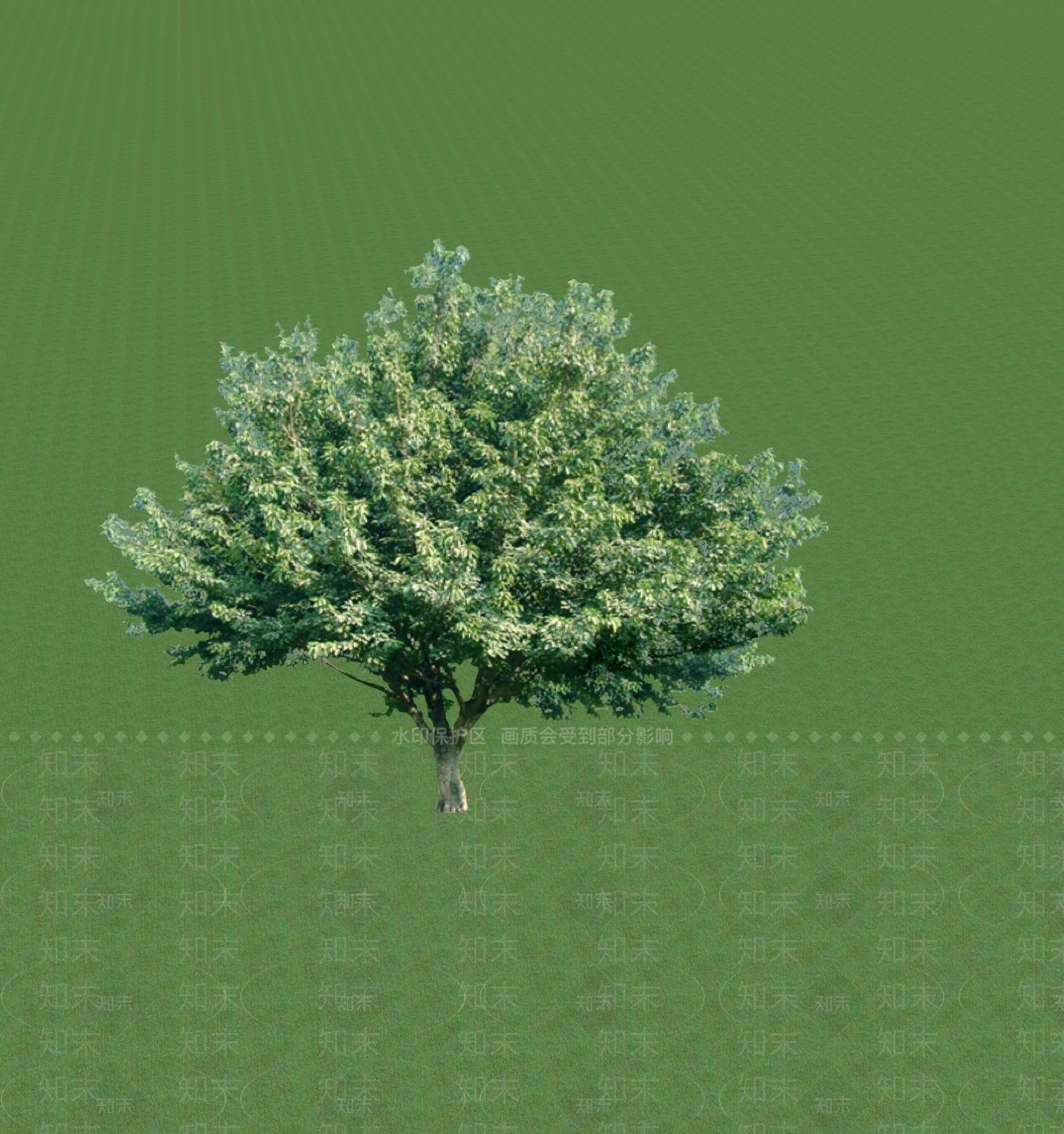 2D乔木SU模型下载【ID:1201367078】