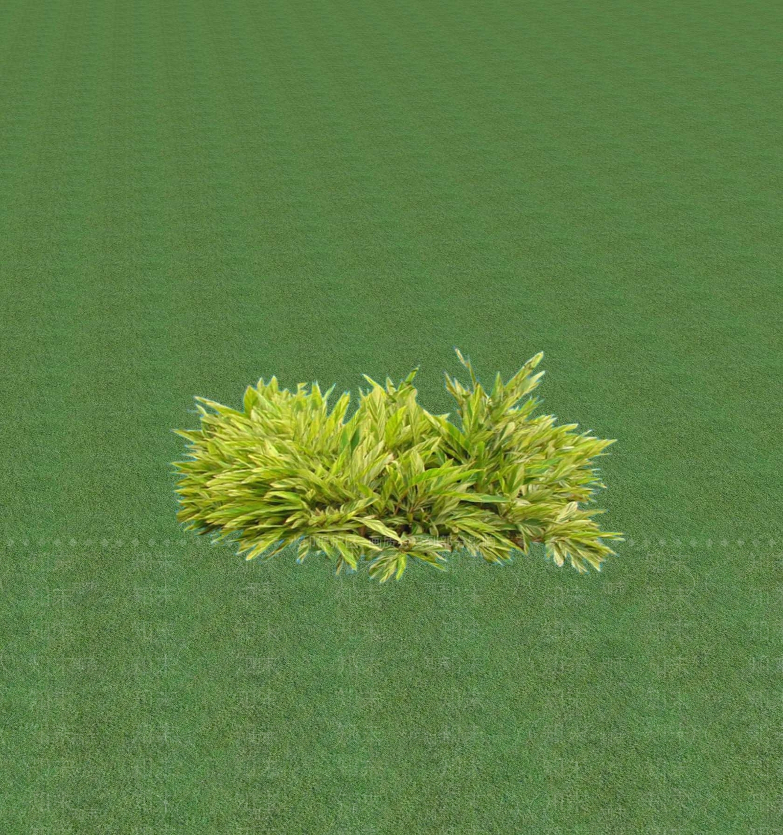 2D乔木SU模型下载【ID:1201367268】