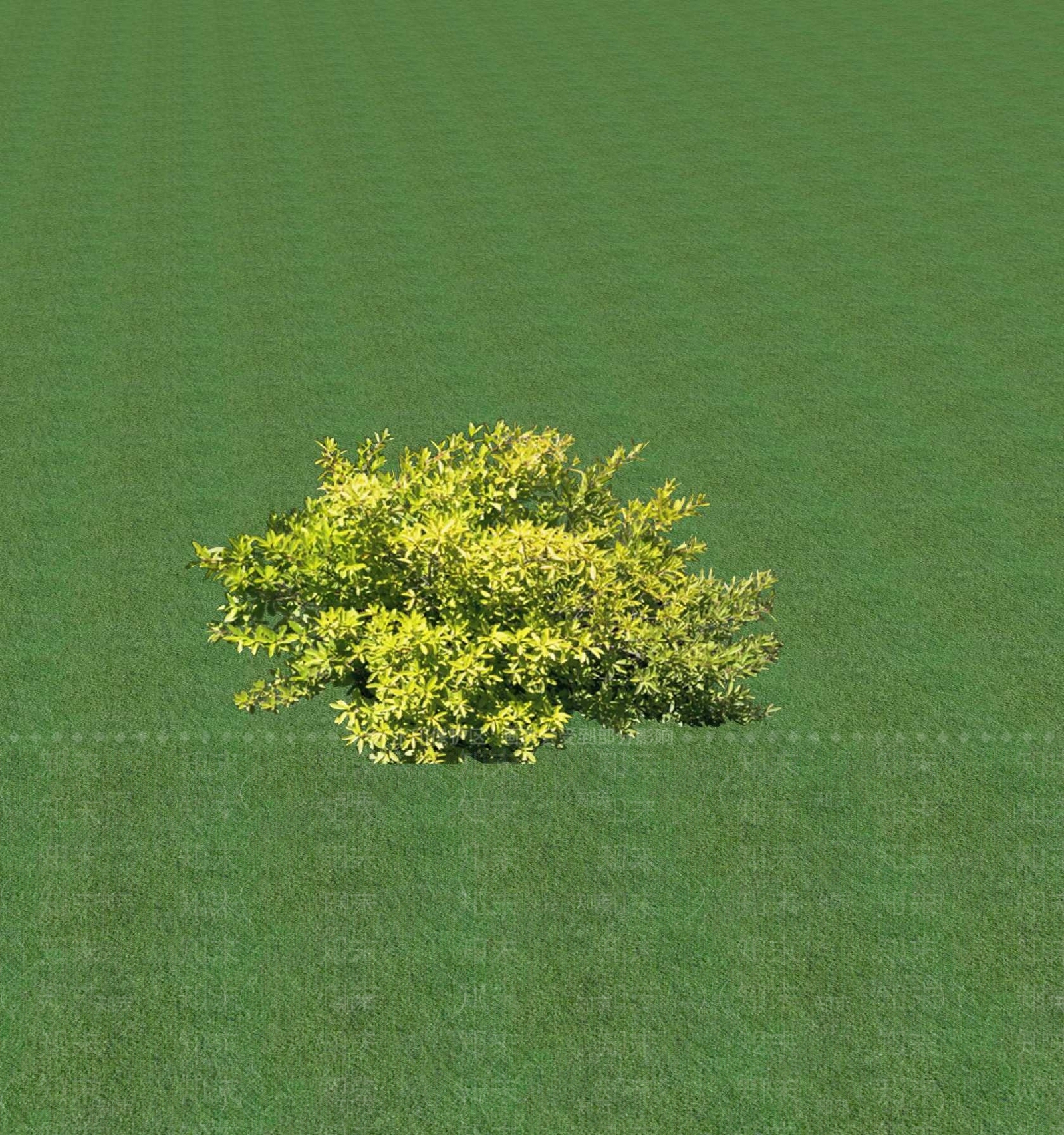 2D乔木SU模型下载【ID:1201367508】
