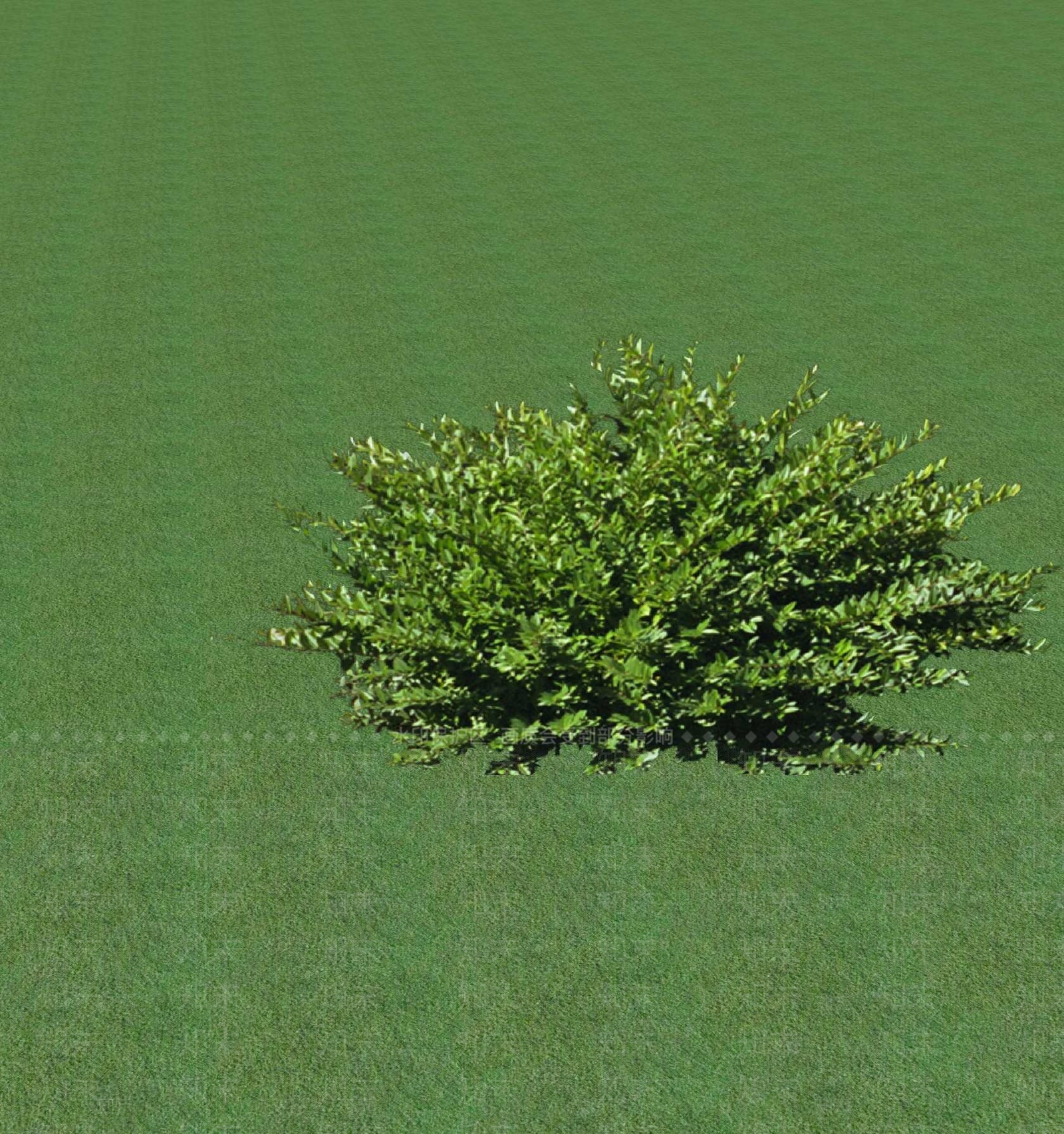 2D灌木SU模型下载【ID:1201367667】
