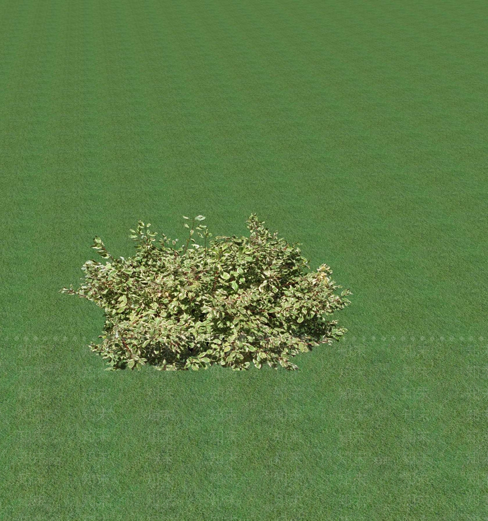2D灌木SU模型下载【ID:1201367659】