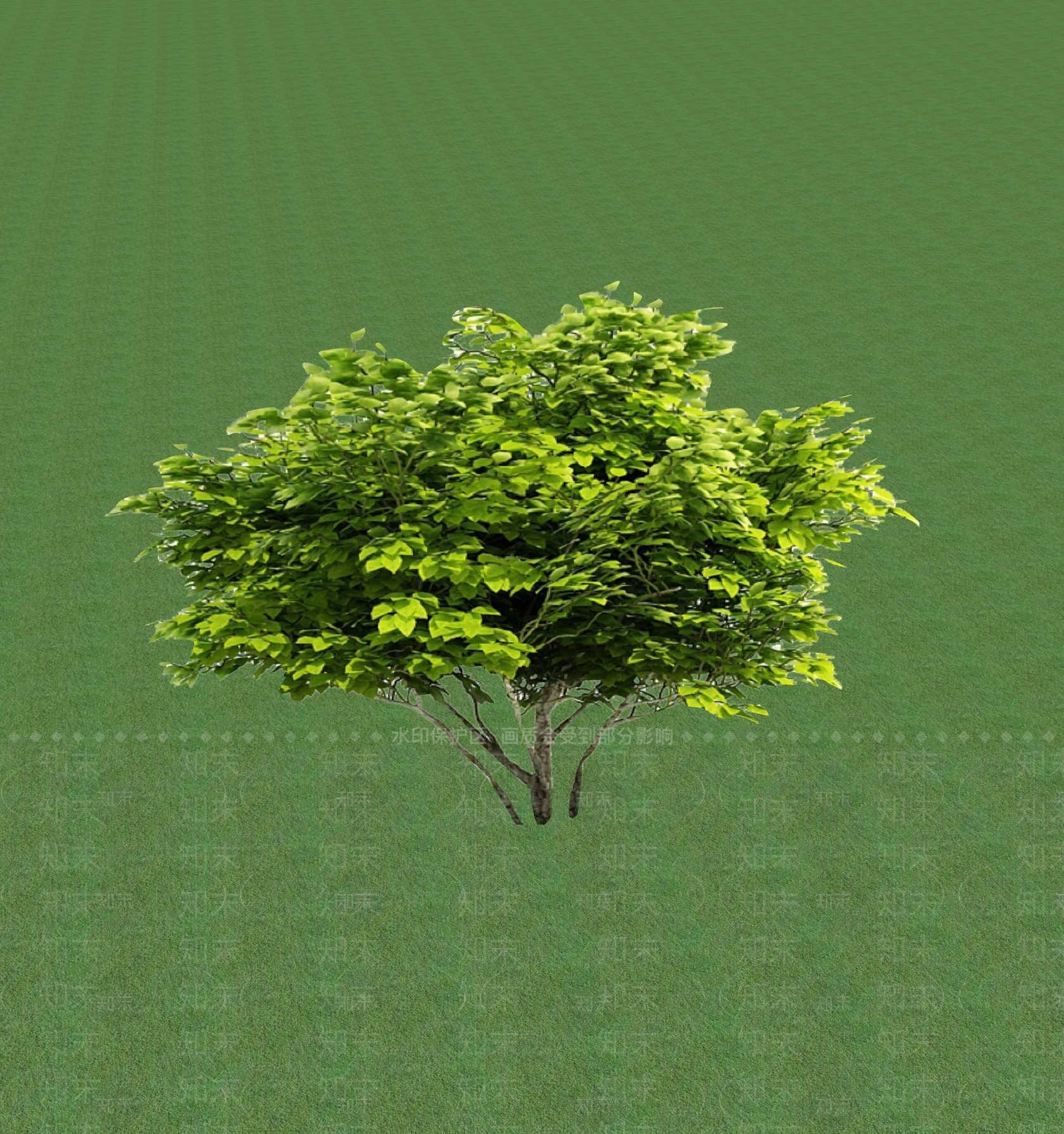 2D灌木SU模型下载【ID:1201367834】
