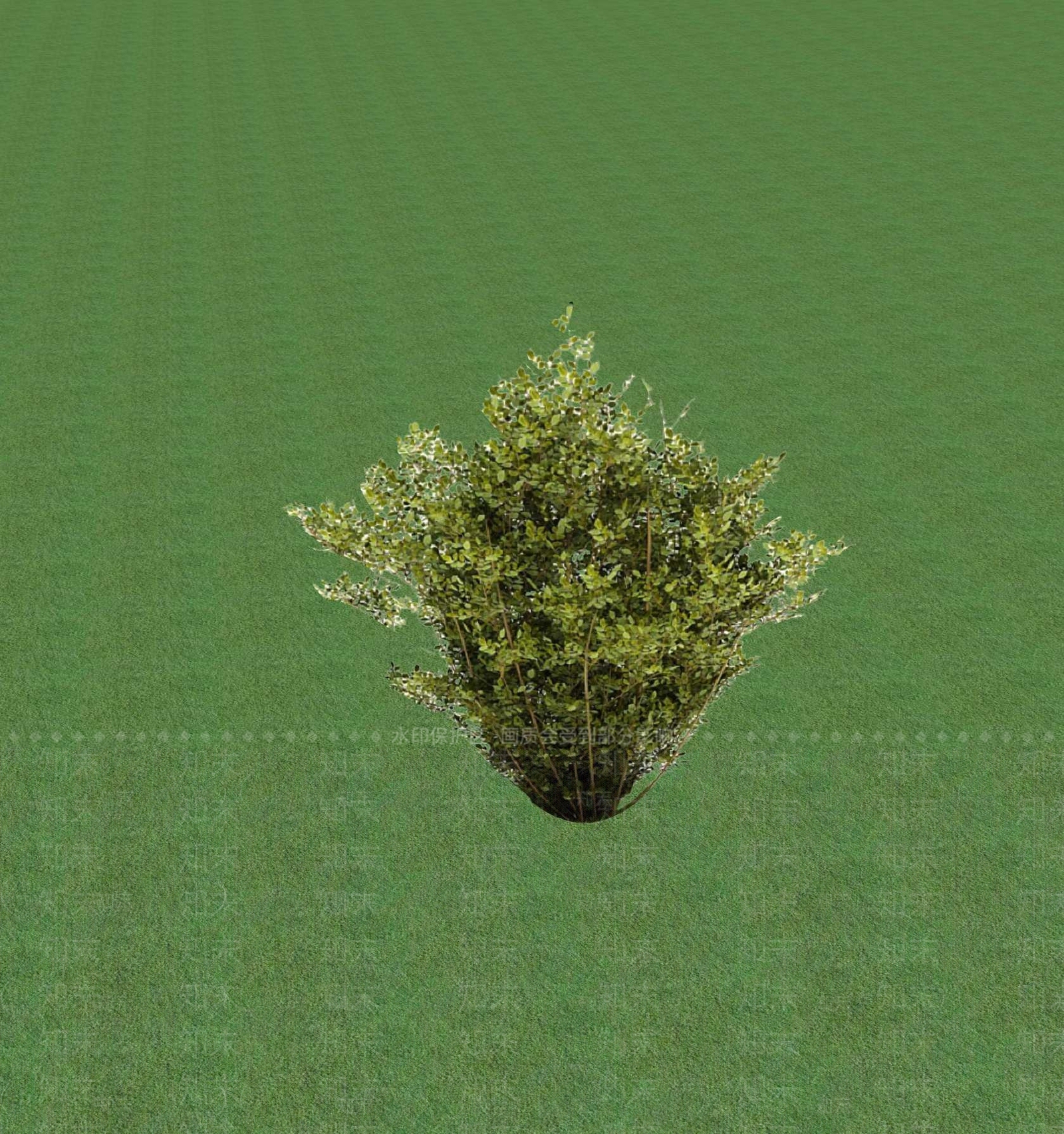 2D灌木SU模型下载【ID:1201368230】