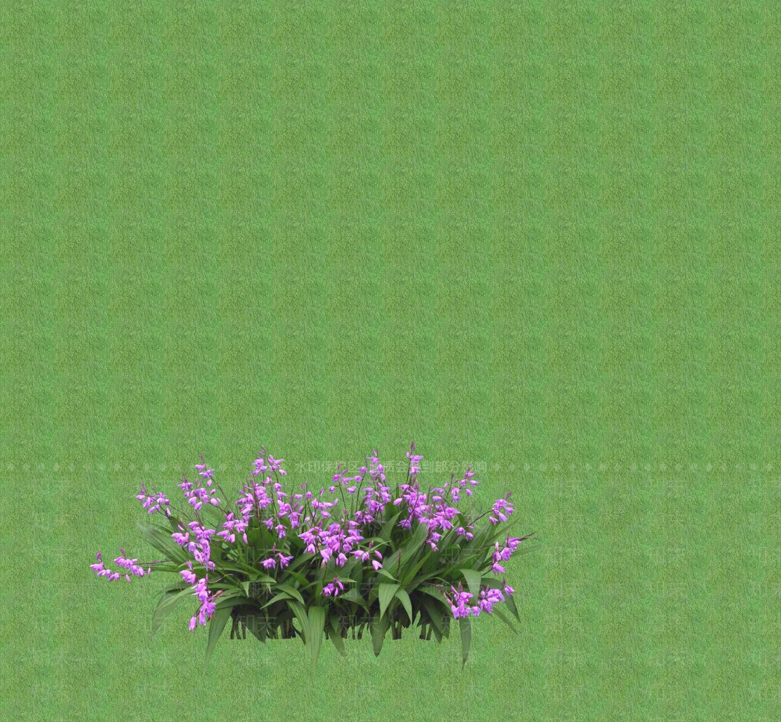 灌木SU模型下载【ID:1201378962】