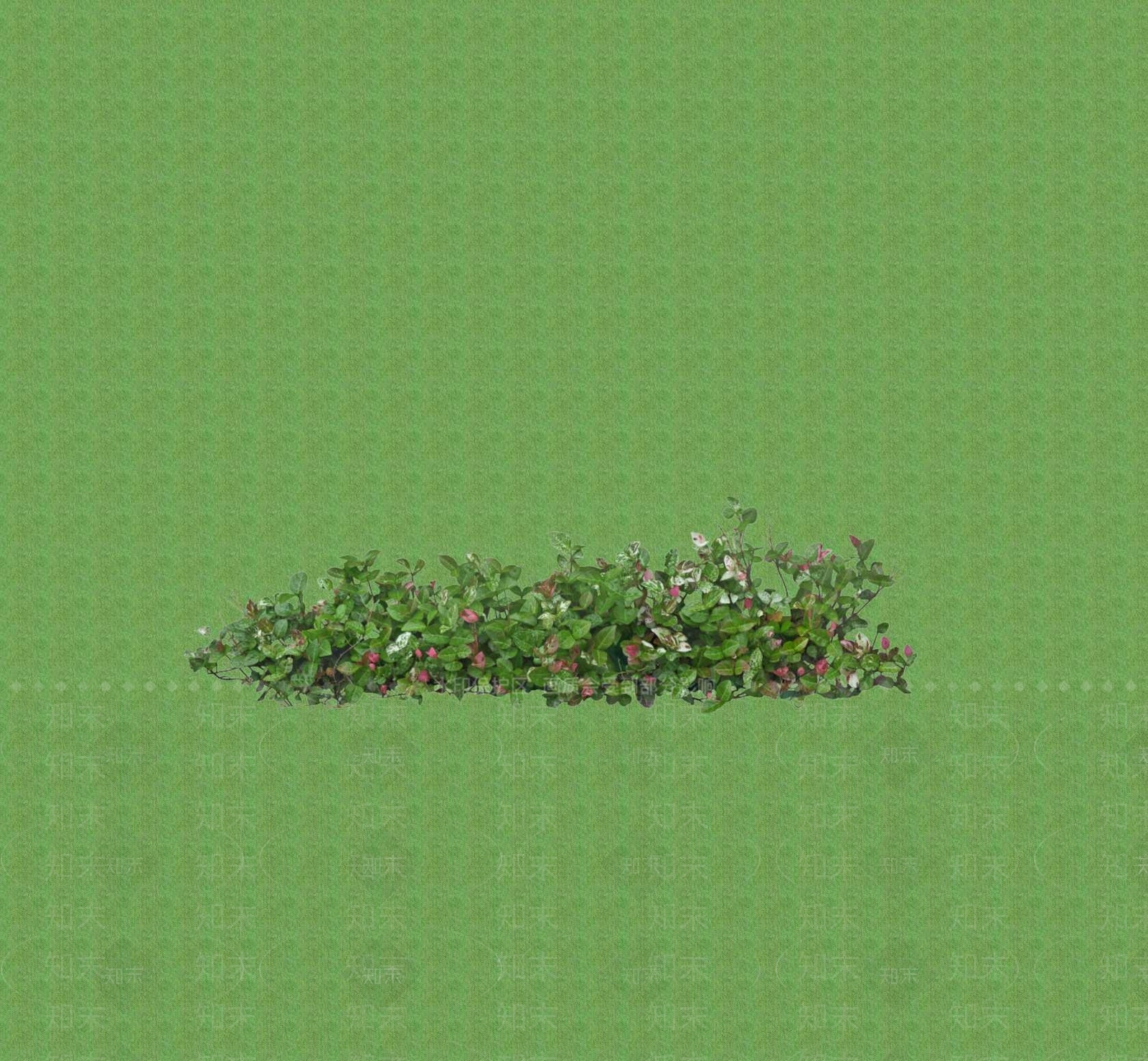 花草SU模型下载【ID:1201379042】