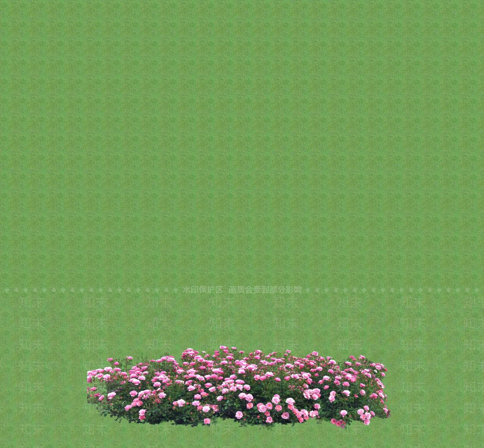 花草SU模型下载【ID:1201380086】