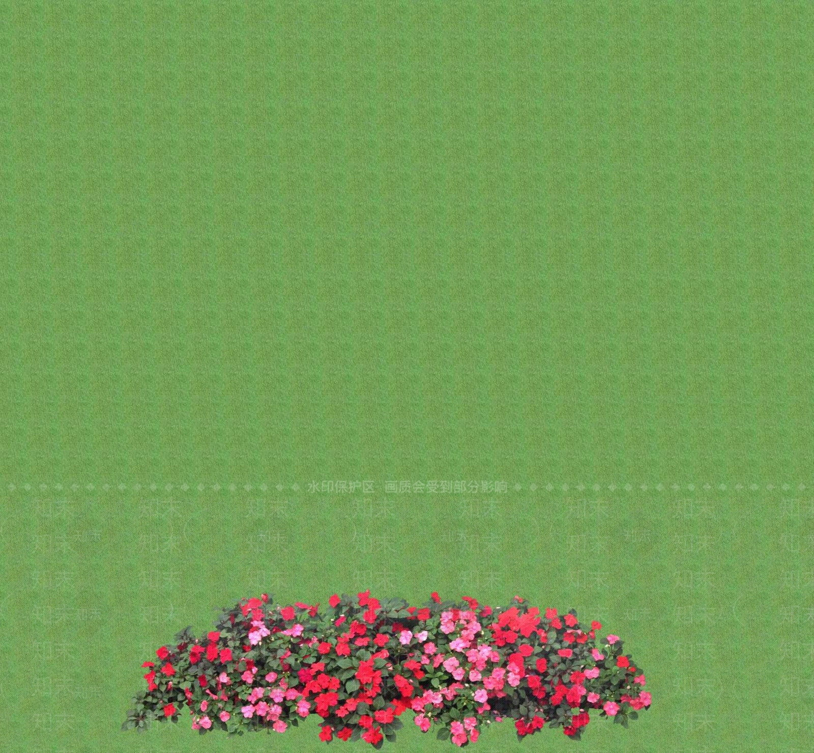 2D灌木SU模型下载【ID:1201398435】