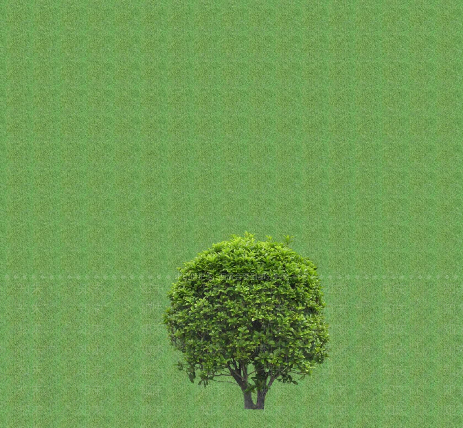 2D灌木SU模型下载【ID:1201398564】