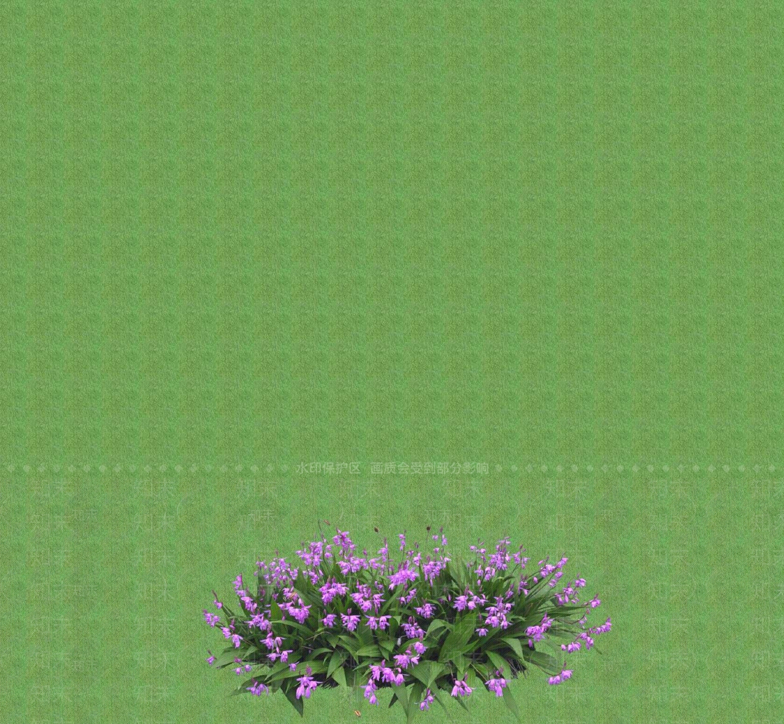 2D灌木SU模型下载【ID:1201398506】