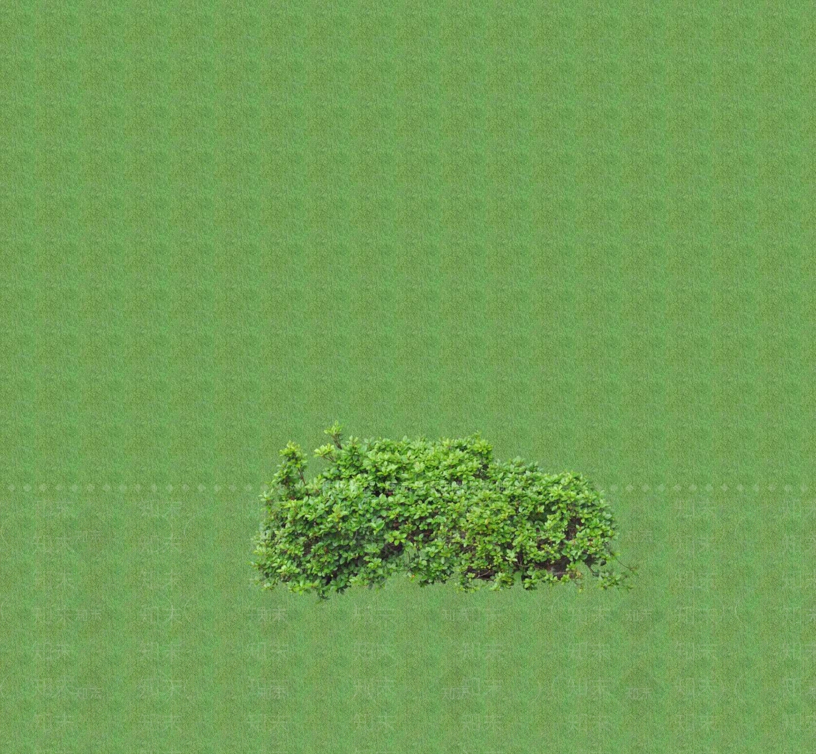 2D灌木SU模型下载【ID:1201398820】