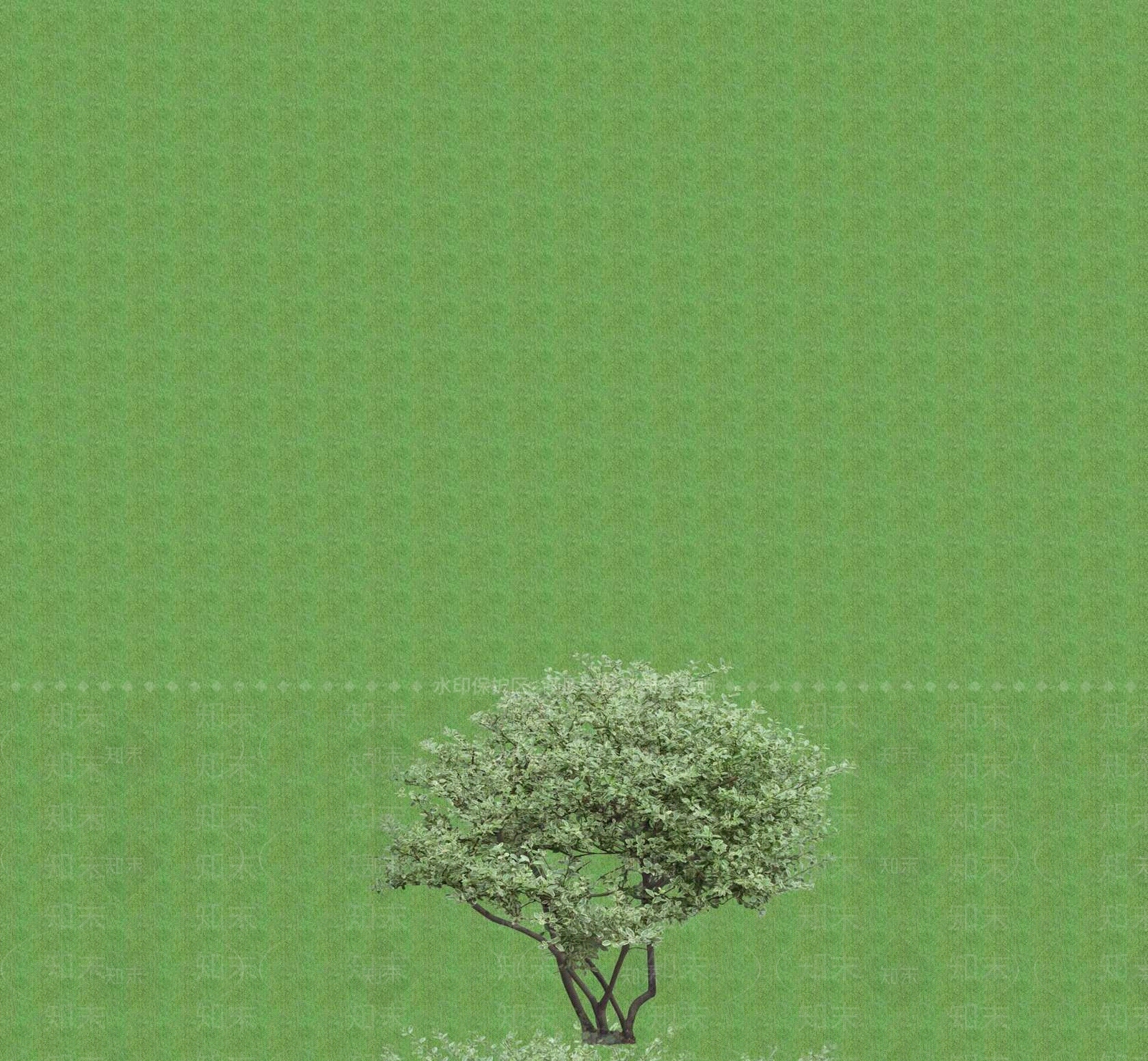 2D灌木SU模型下载【ID:1201398883】