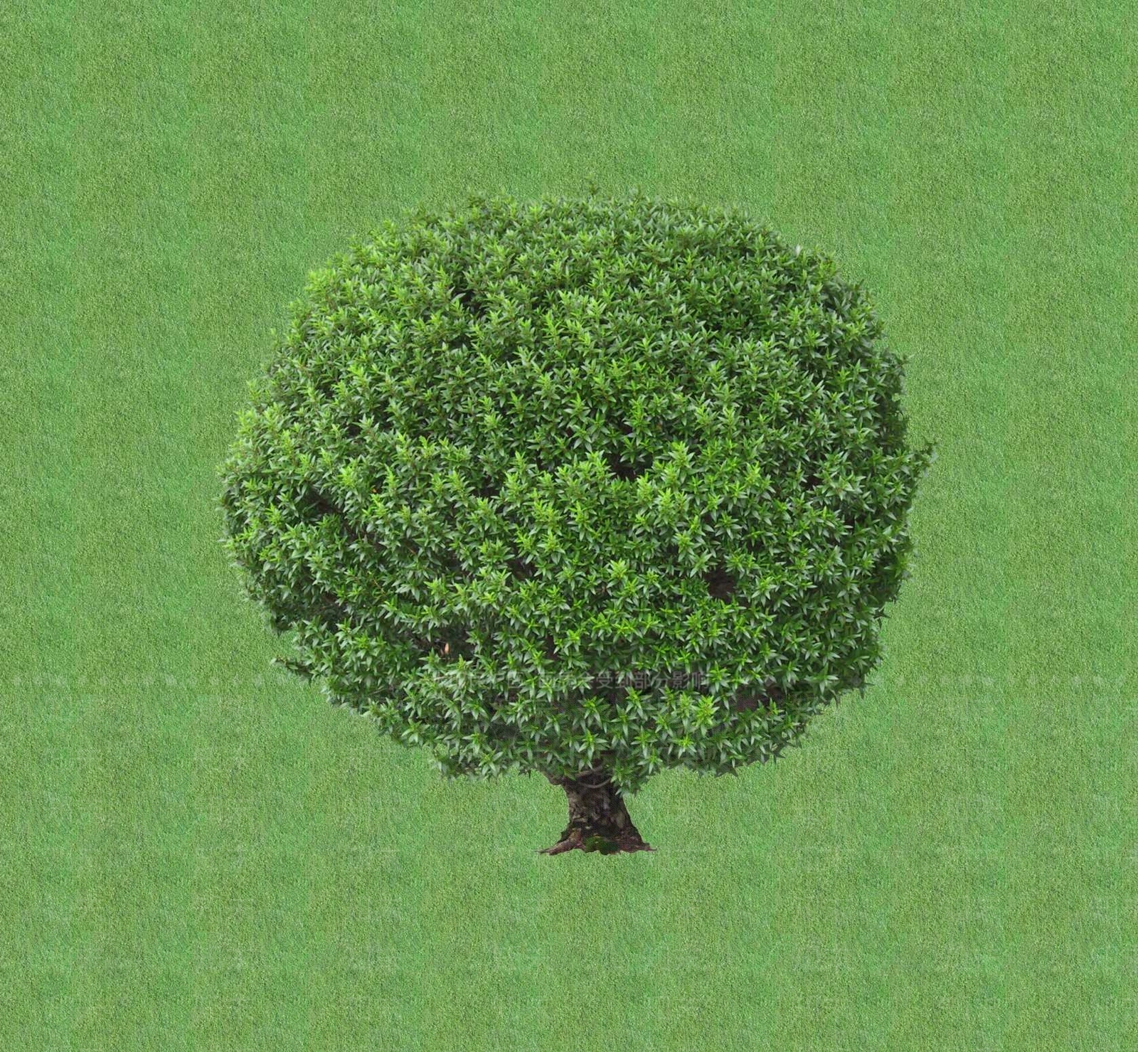 2D灌木SU模型下载【ID:1201399093】