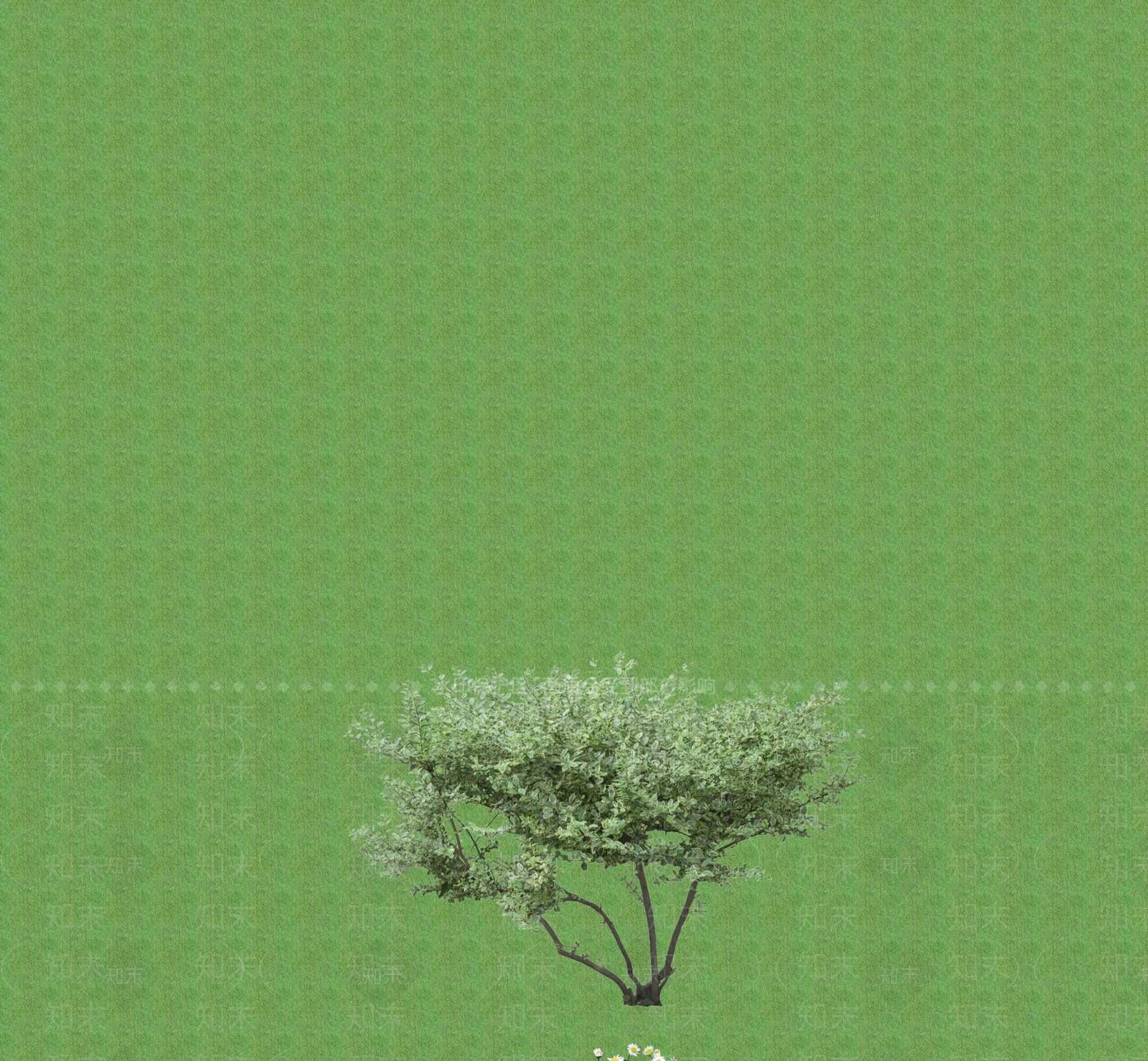 2D灌木SU模型下载【ID:1201399271】