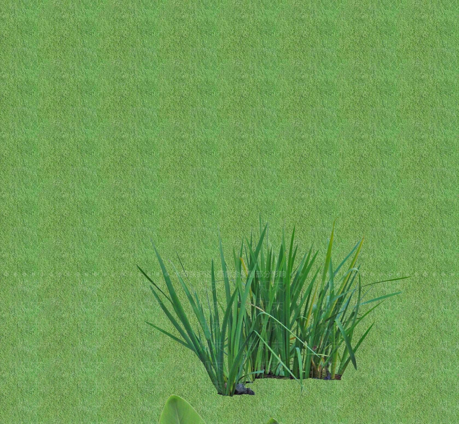 2D灌木SU模型下载【ID:1201399413】