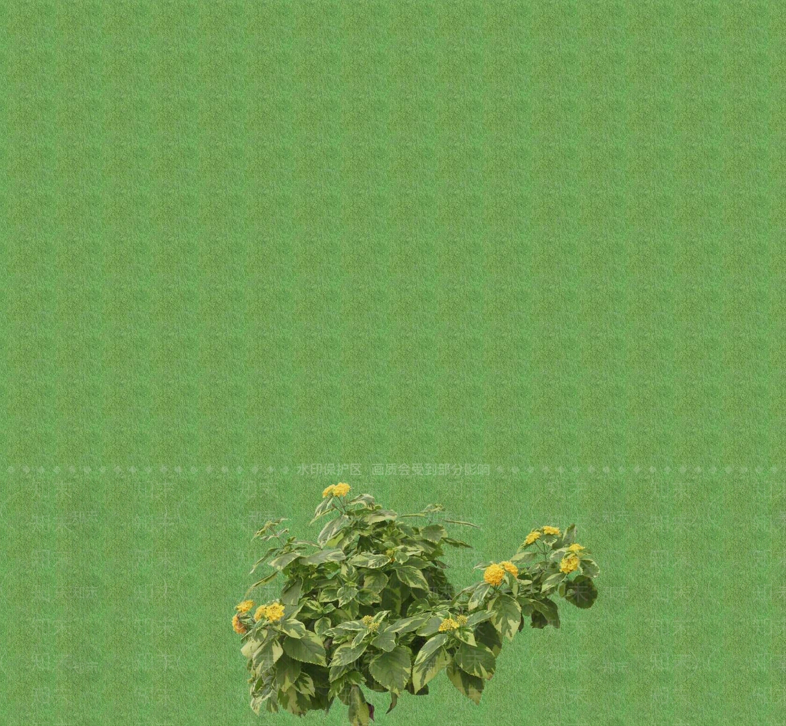2D花草SU模型下载【ID:1201399510】