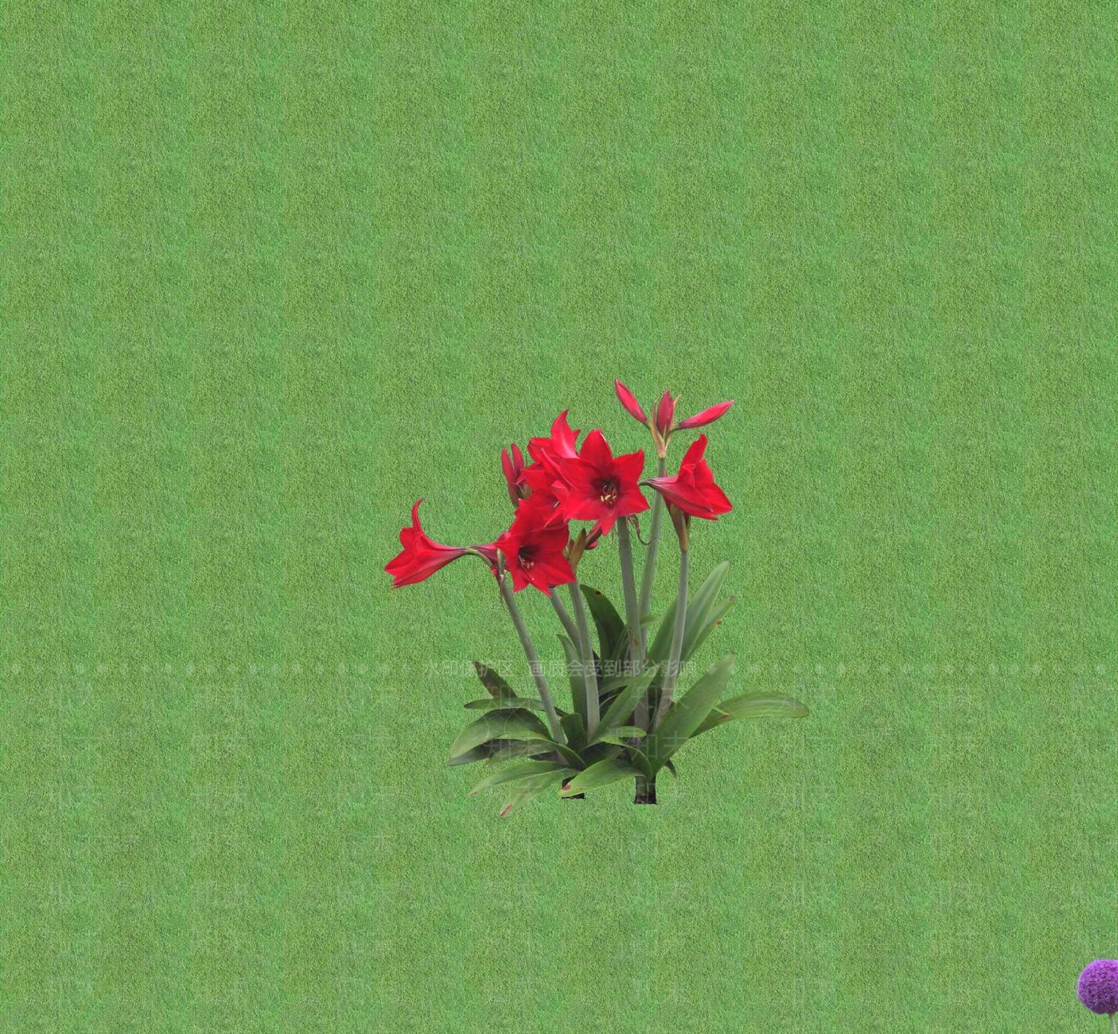 2D花草SU模型下载【ID:1201399513】