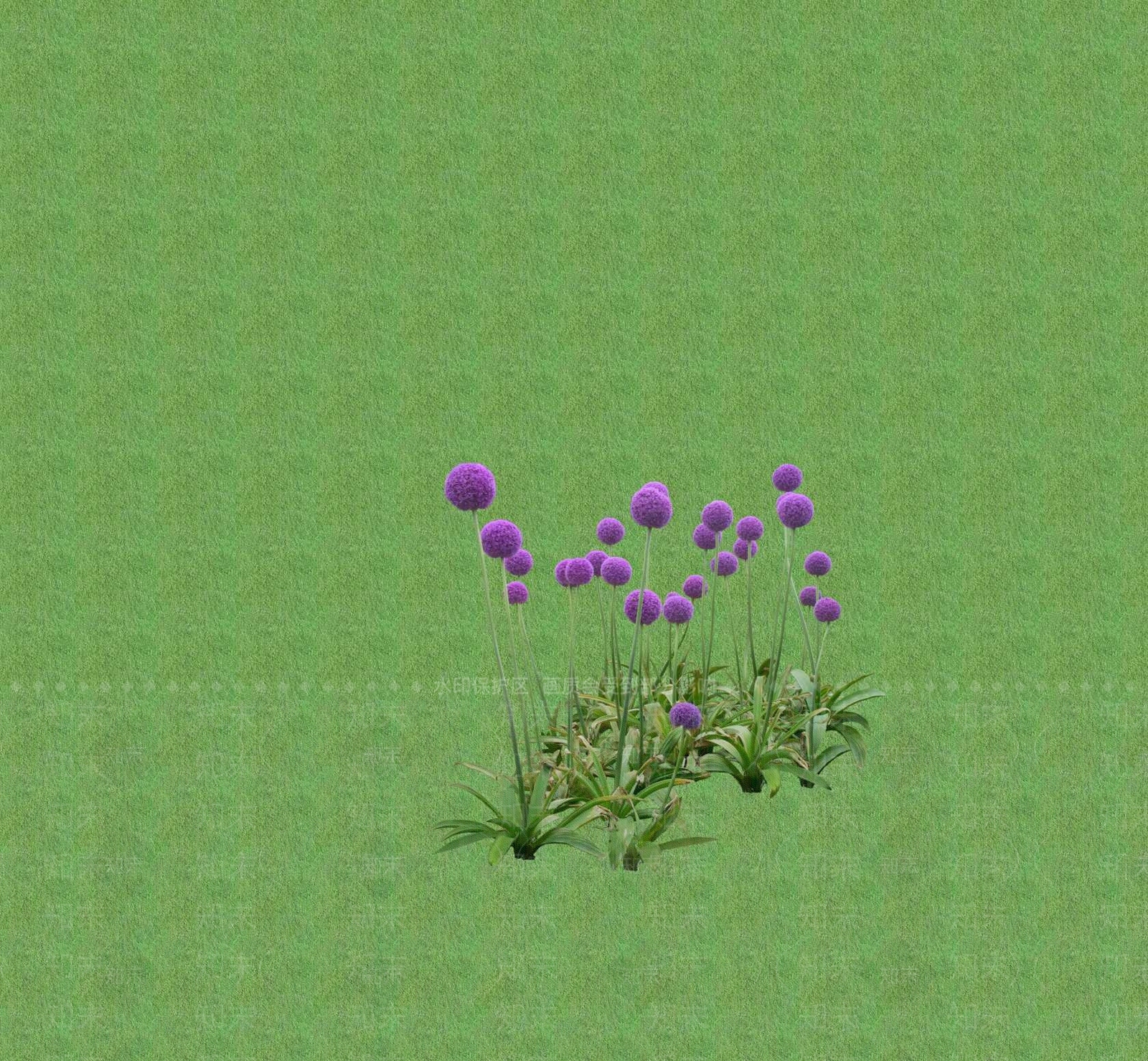 2D花草SU模型下载【ID:1201399535】