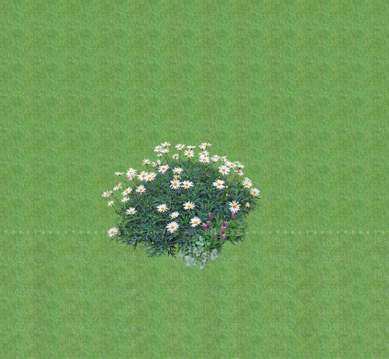 2D花草SU模型下载【ID:1201399741】