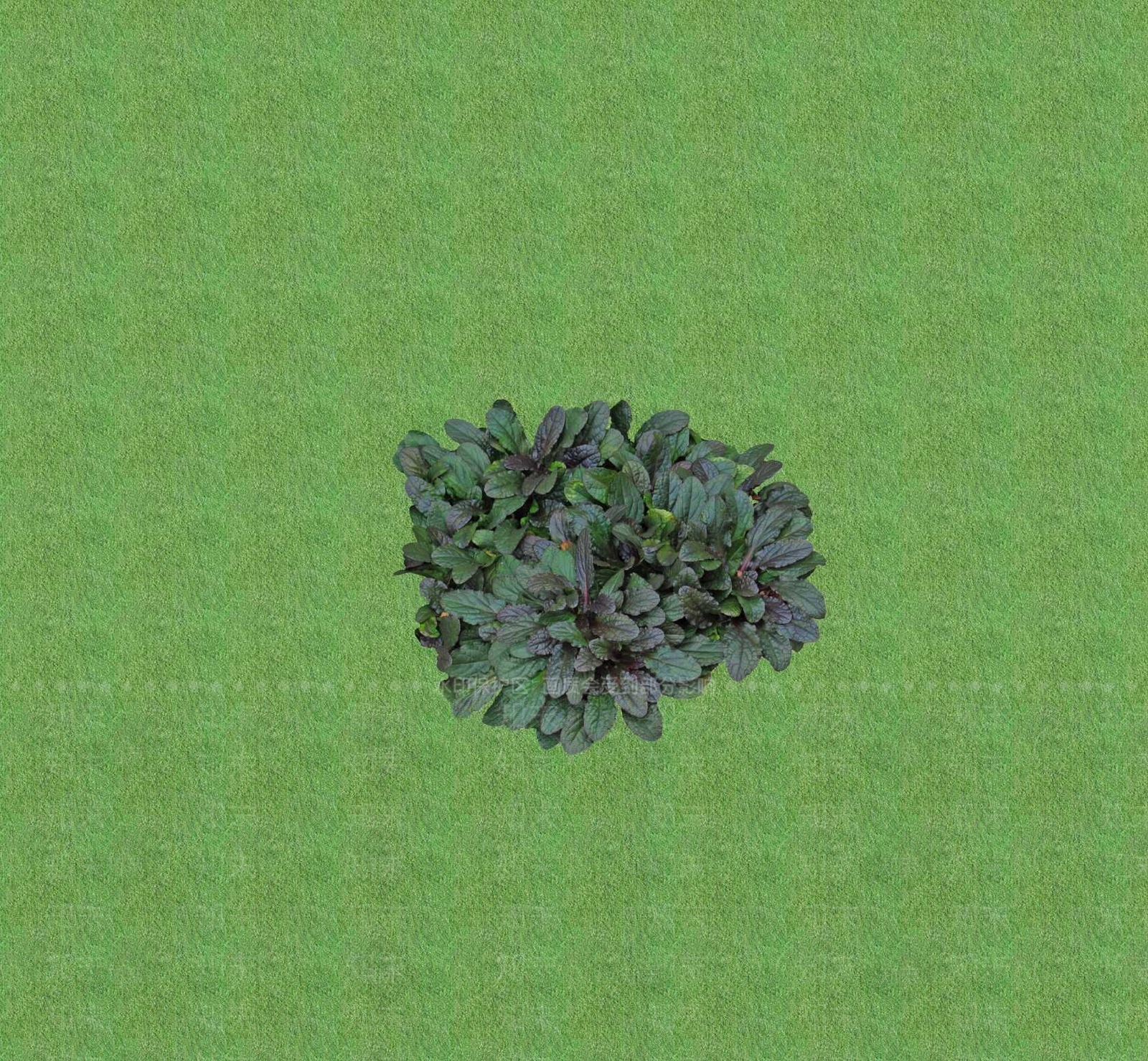 2D花草SU模型下载【ID:1201399764】