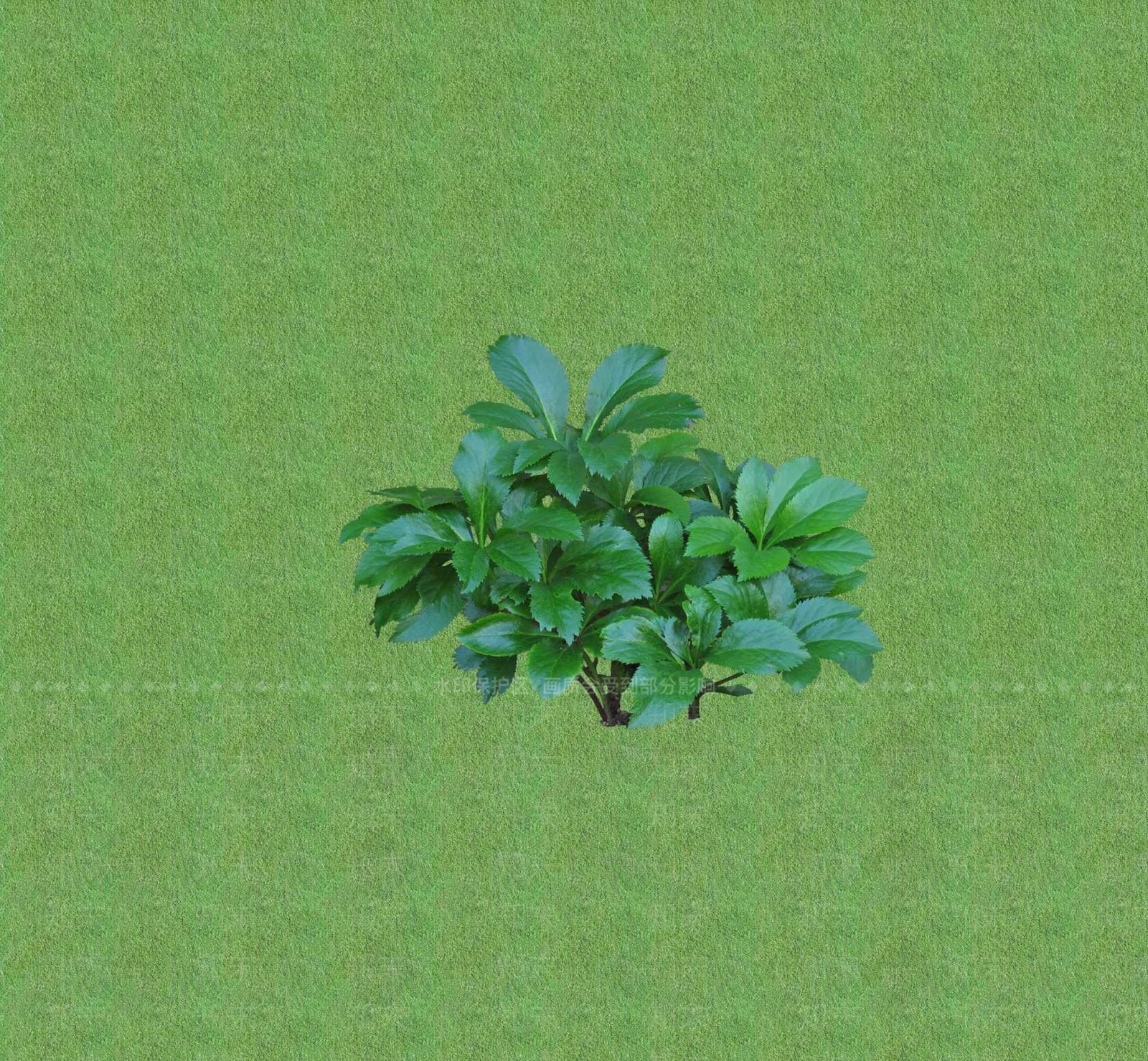 2D花草SU模型下载【ID:1201399795】