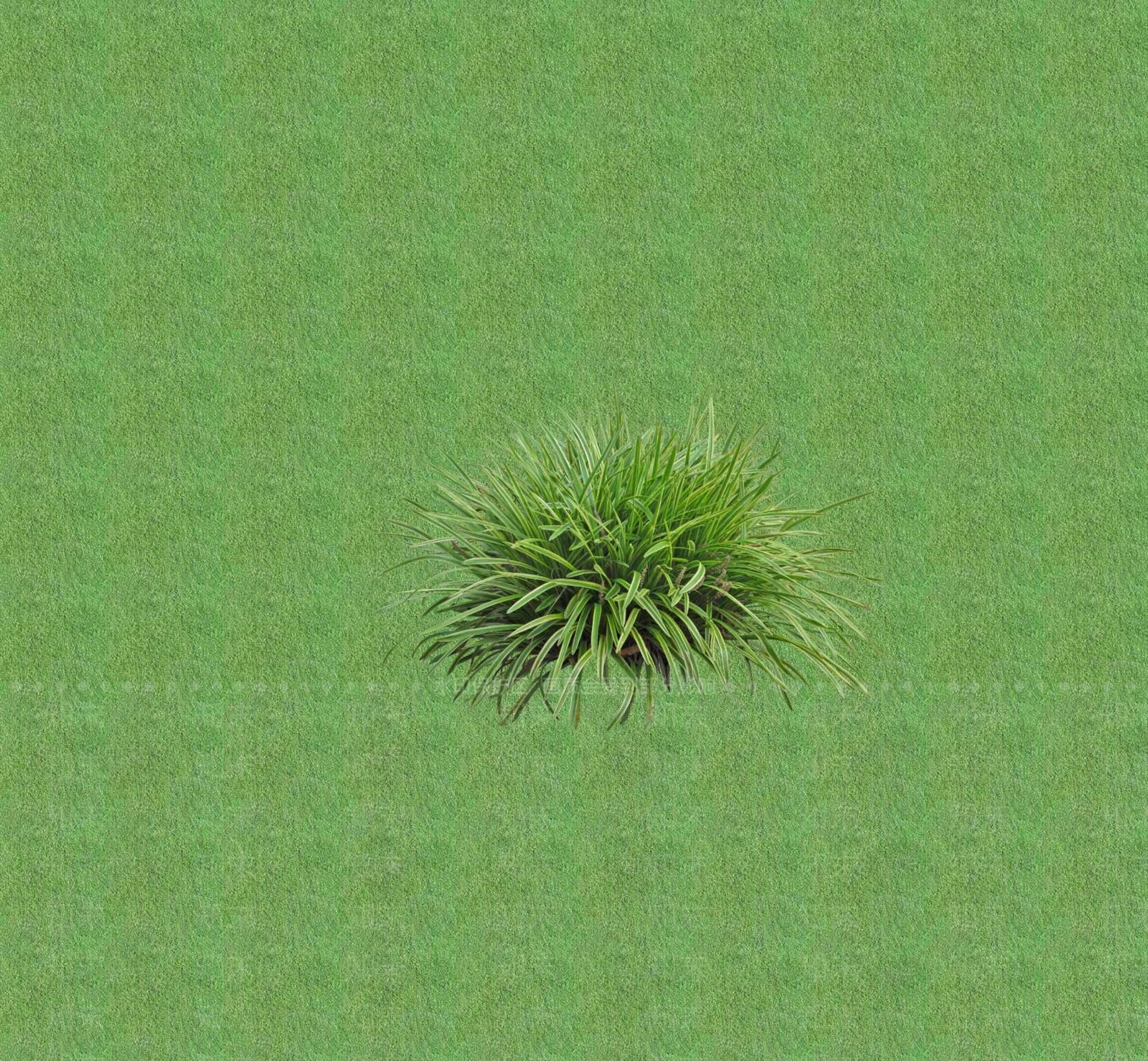 2D花草SU模型下载【ID:1201399778】