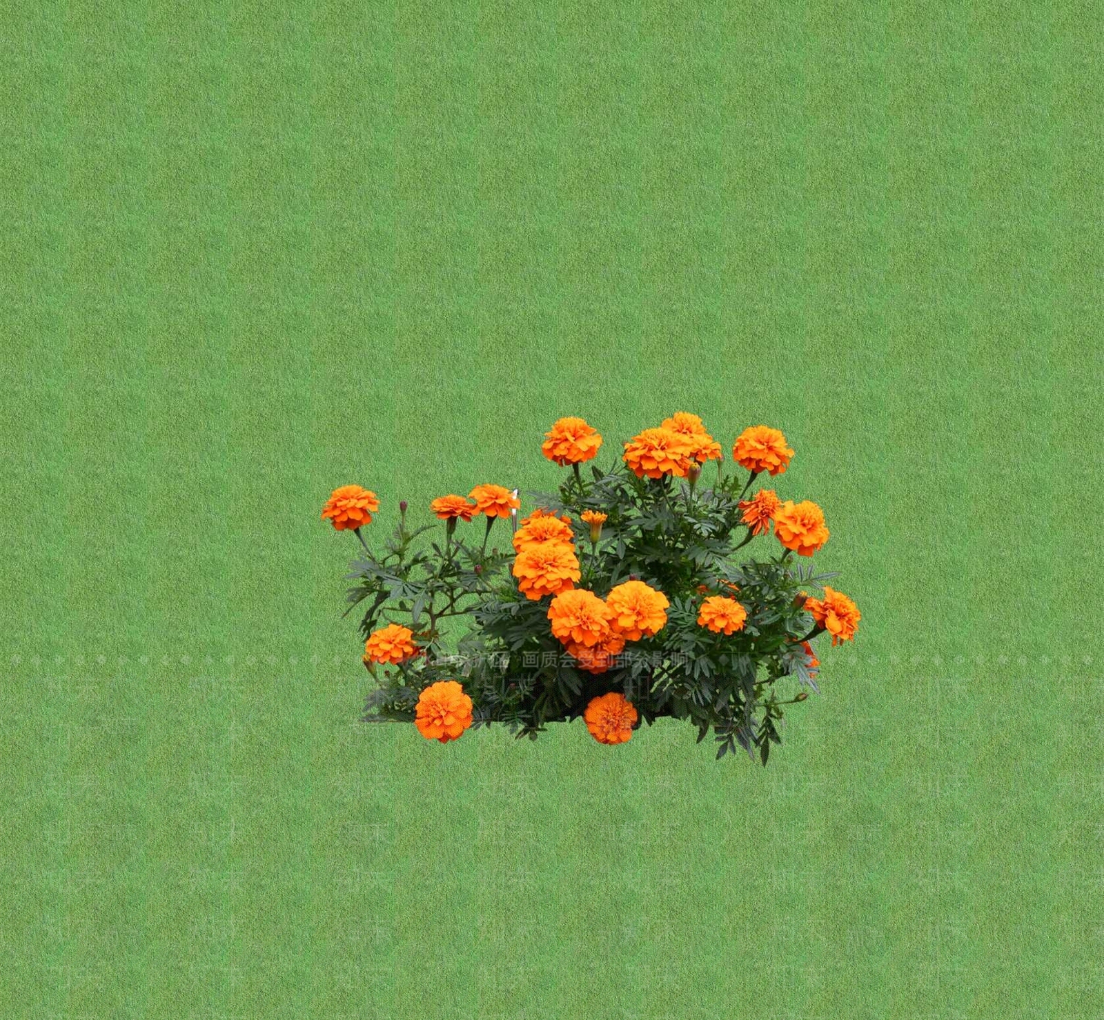 2D花草SU模型下载【ID:1201399836】