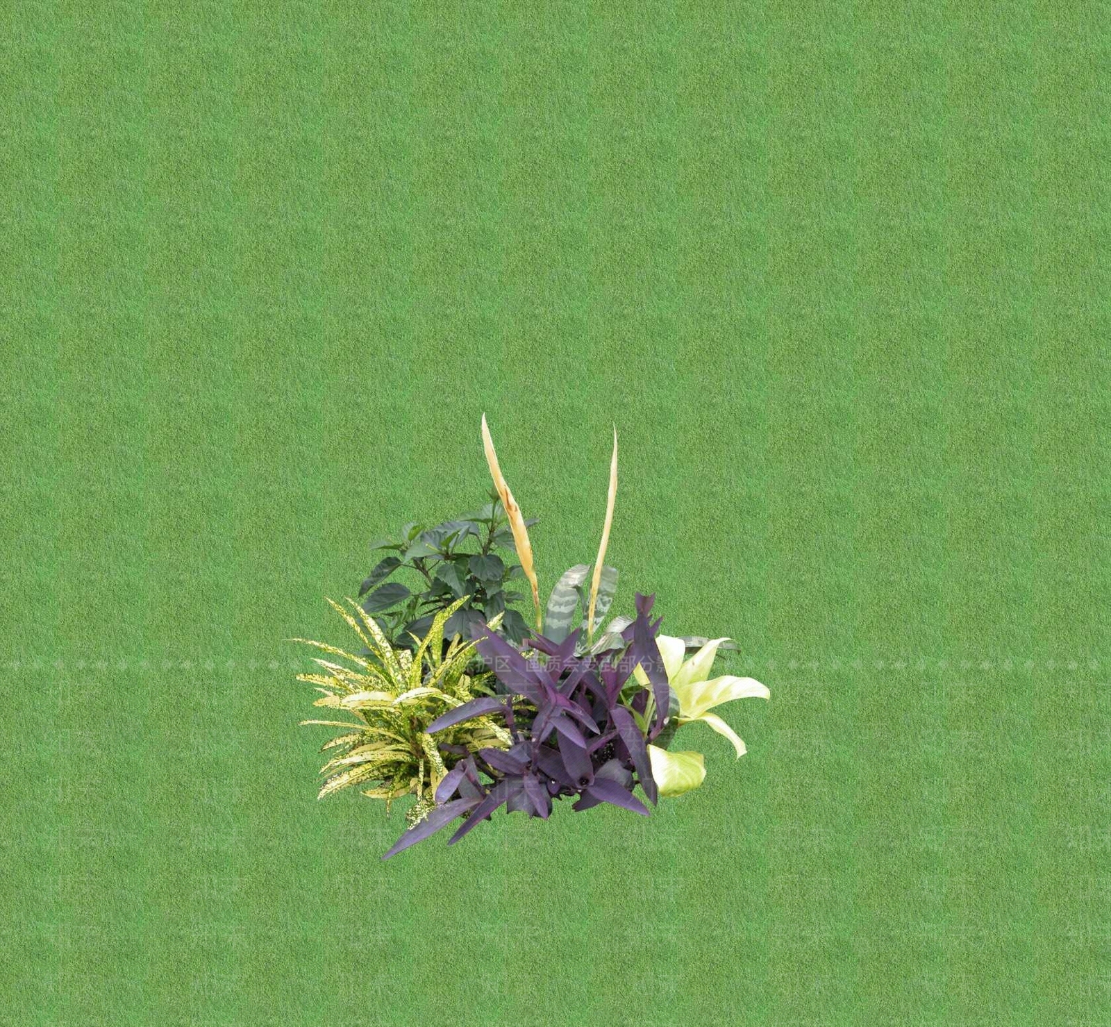 2D花草SU模型下载【ID:1201399947】