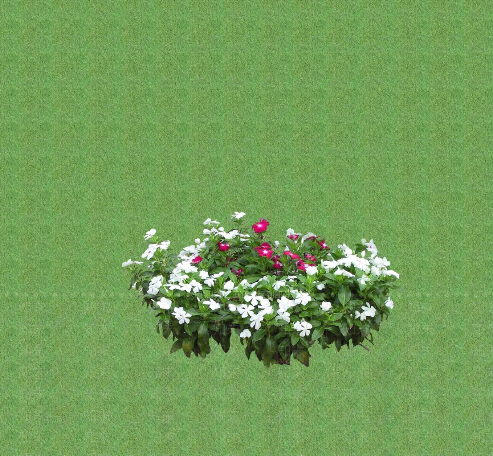 2D花草SU模型下载【ID:1201400040】
