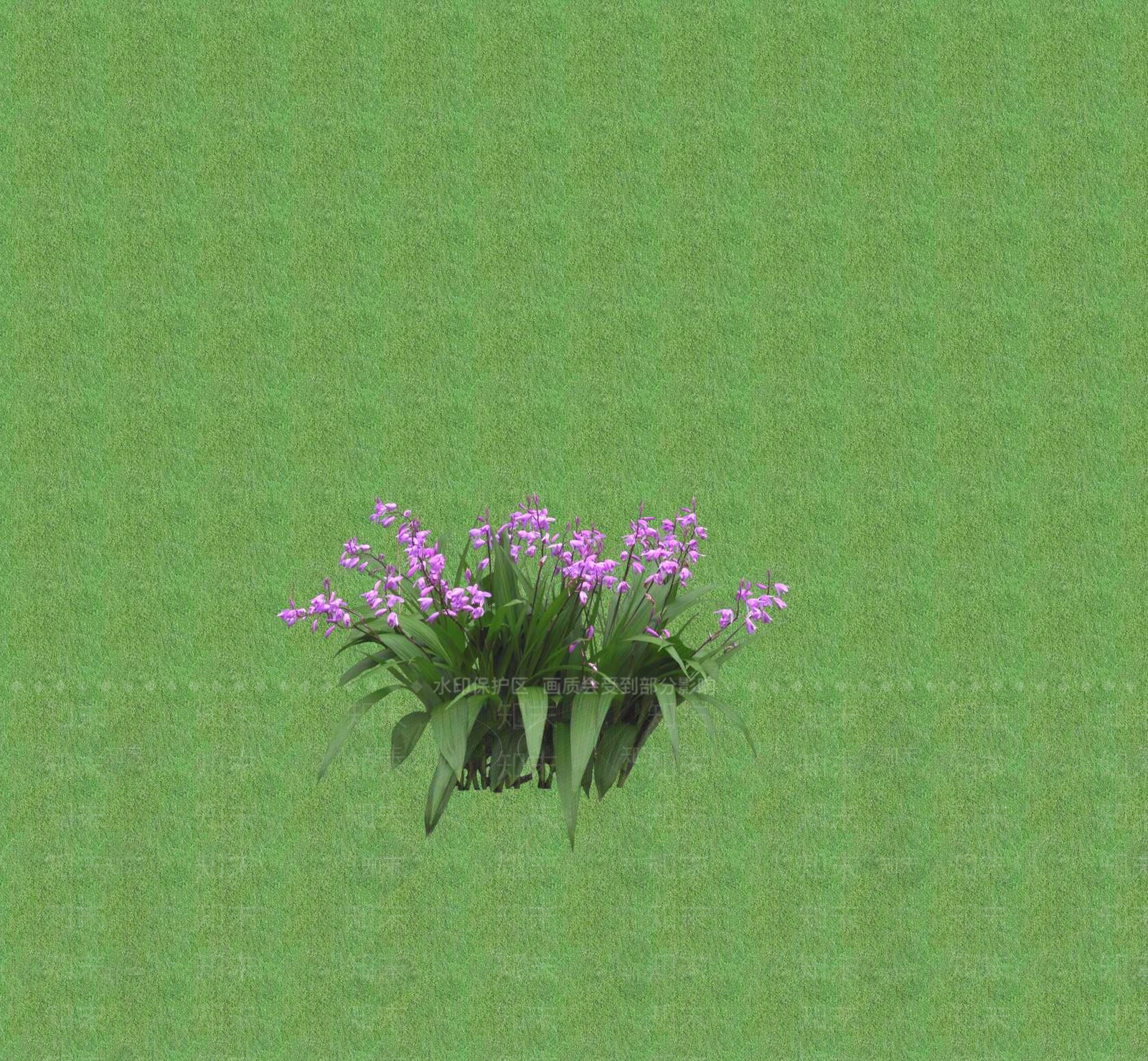 2D花草SU模型下载【ID:1201400116】