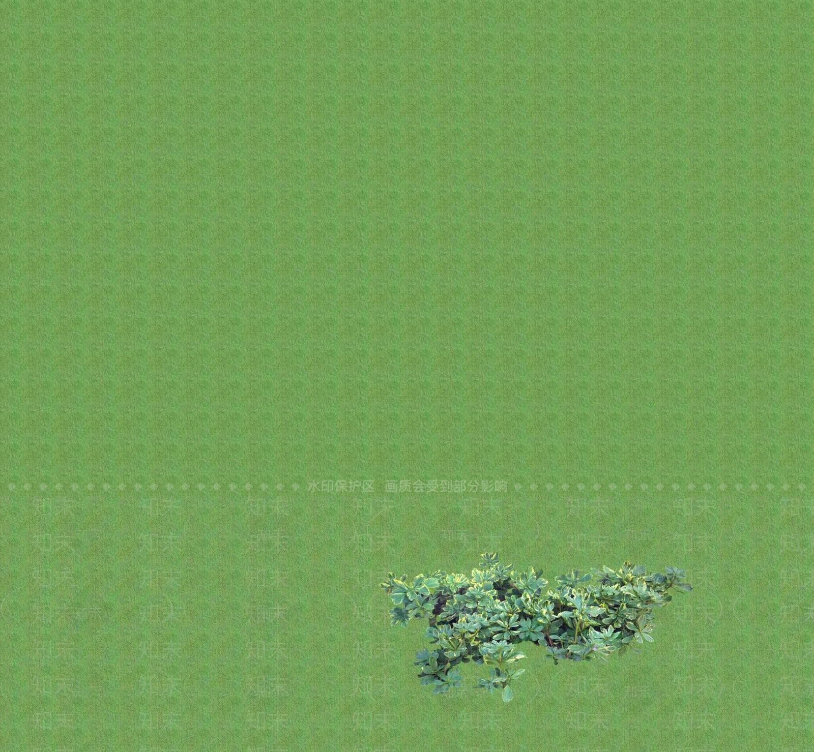 2D花草SU模型下载【ID:1201400499】