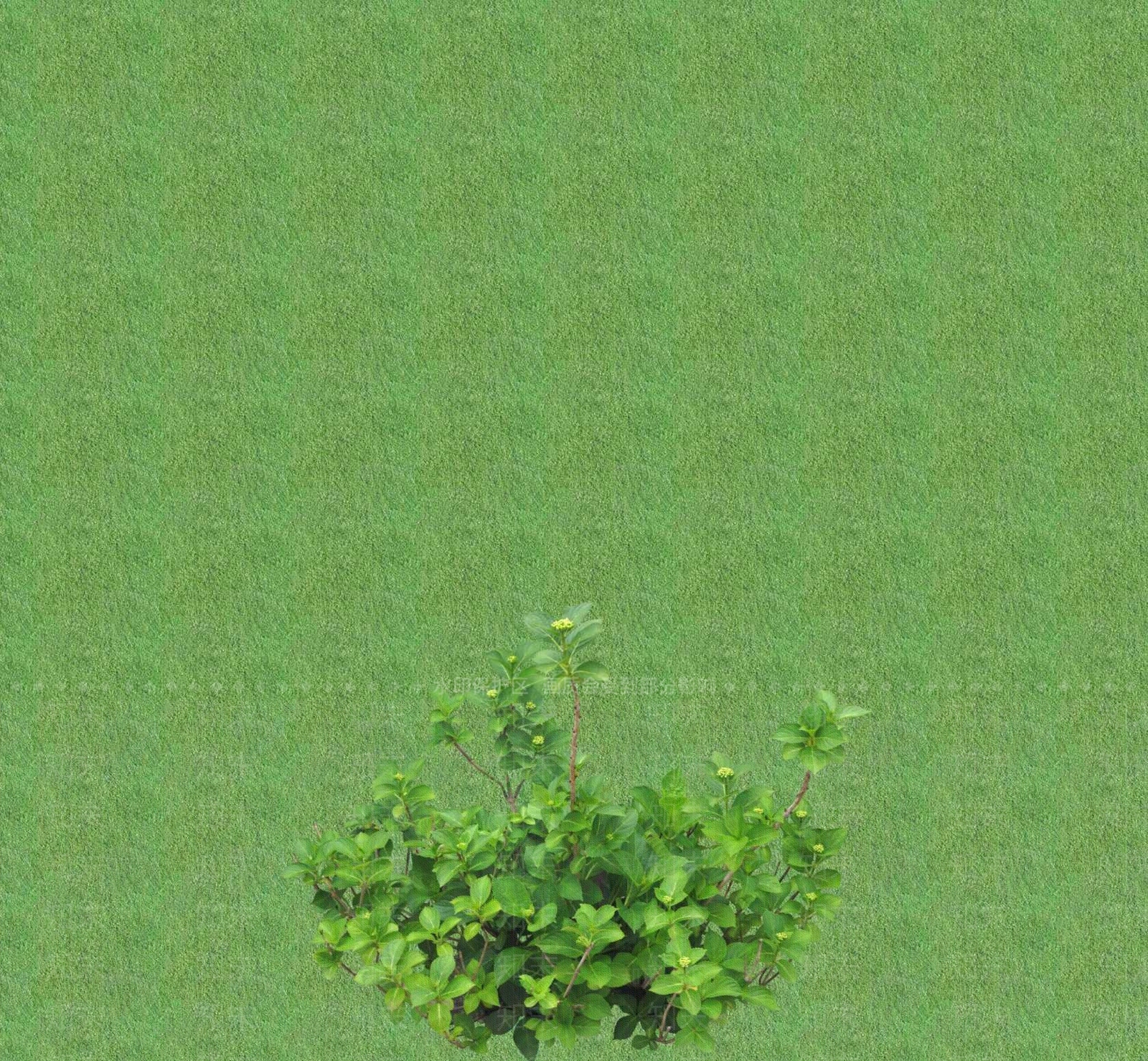 2D花草SU模型下载【ID:1201400526】