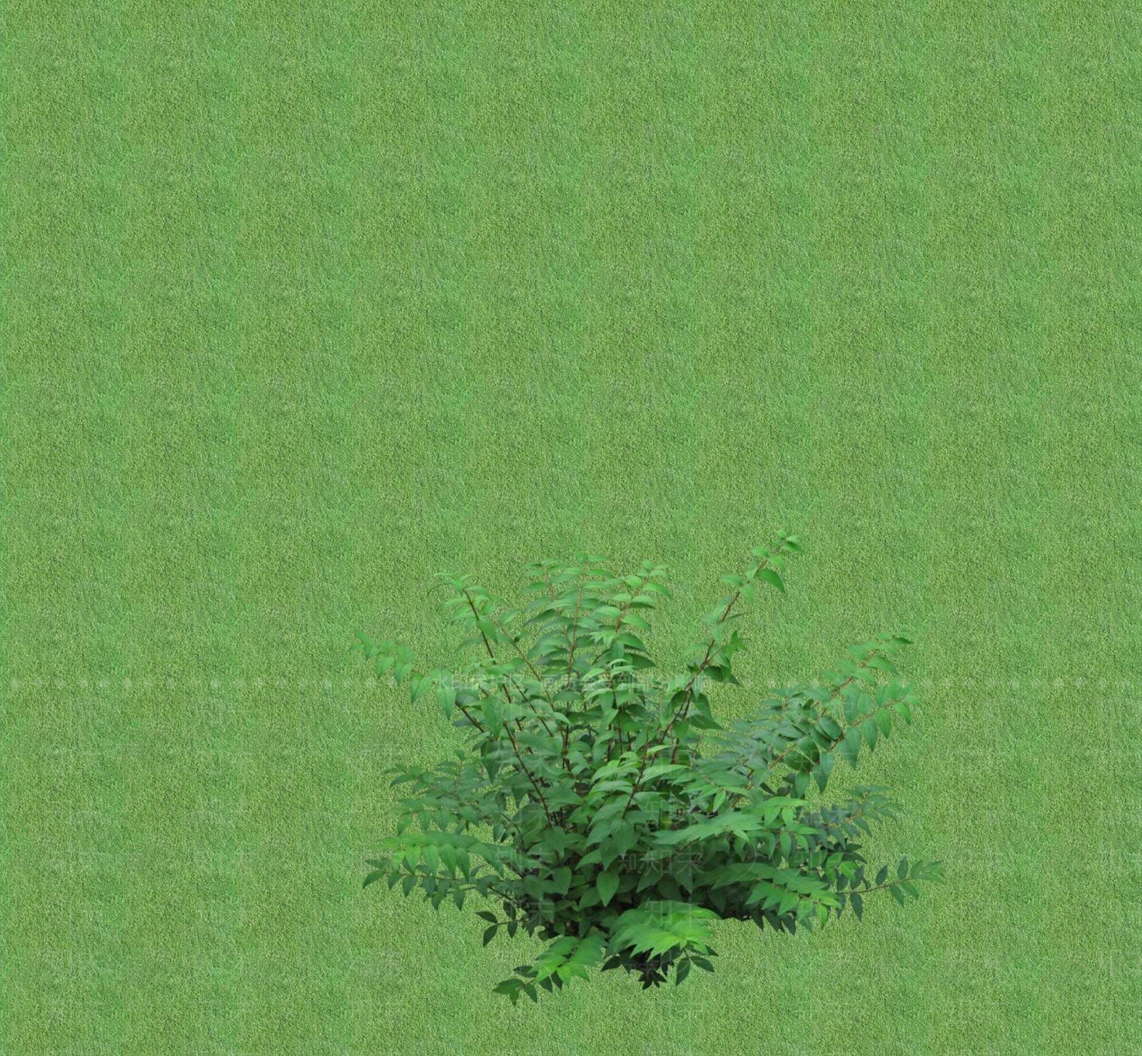 2D花草SU模型下载【ID:1201400627】