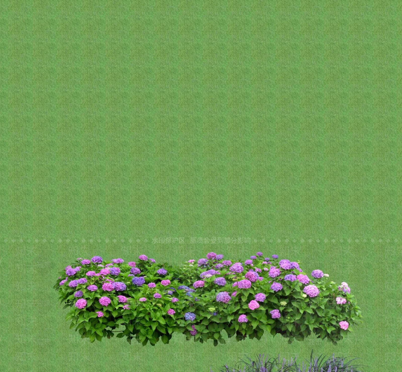 2D花草SU模型下载【ID:1201400791】
