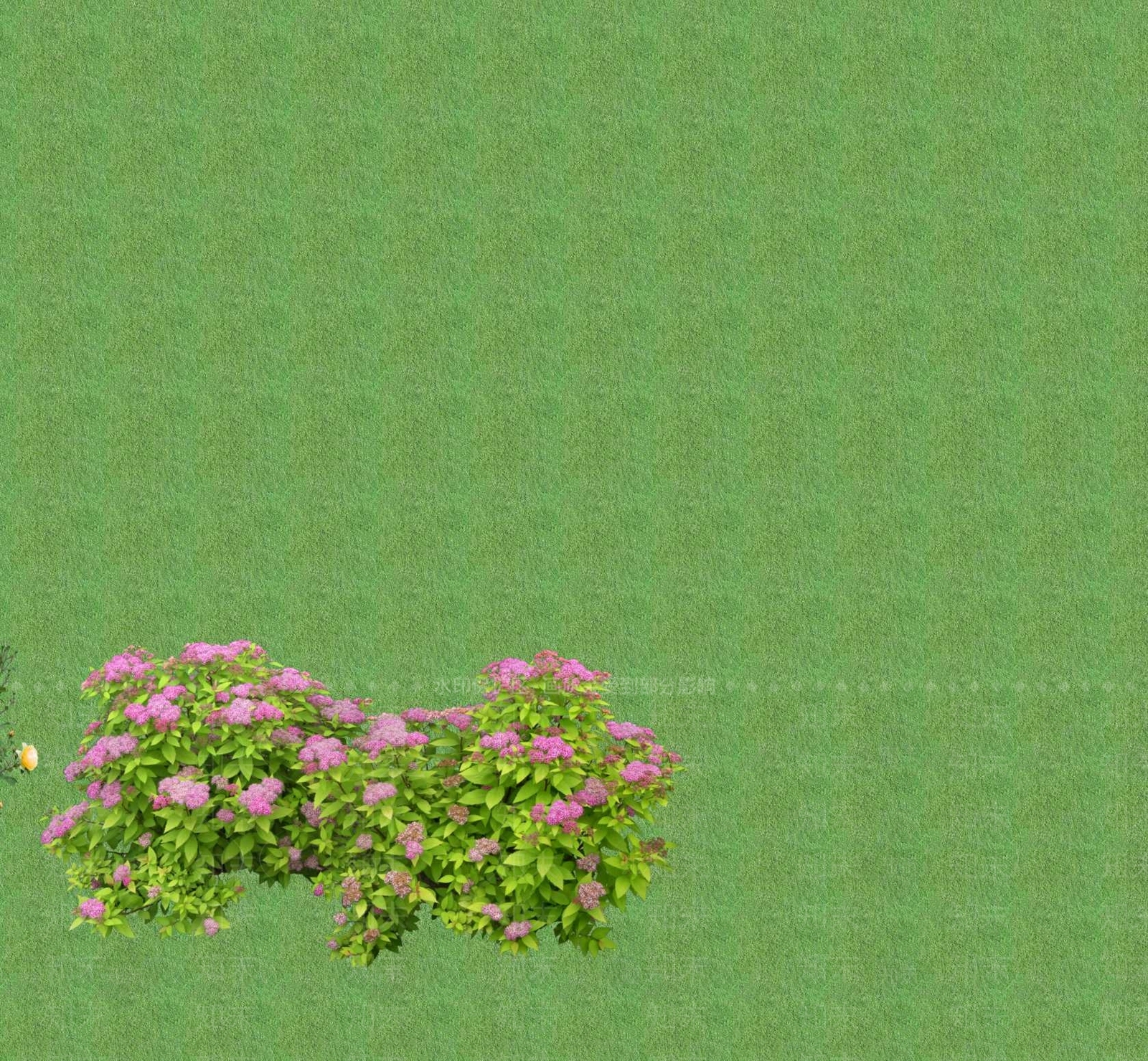 2D花草SU模型下载【ID:1201400812】