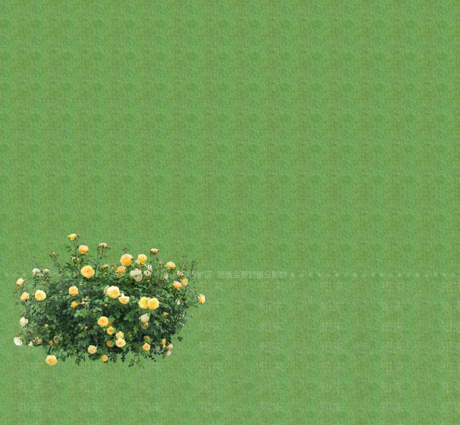 2D花草SU模型下载【ID:1201400835】