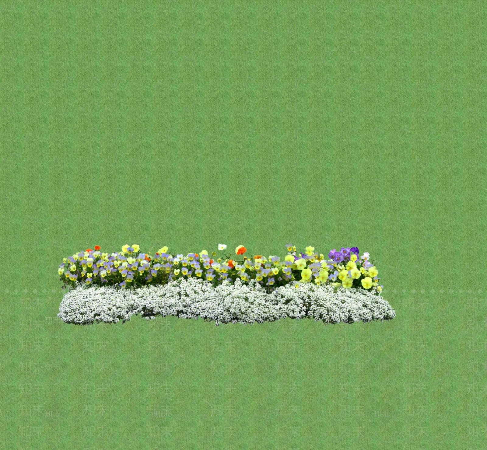 2D花草SU模型下载【ID:1201400967】