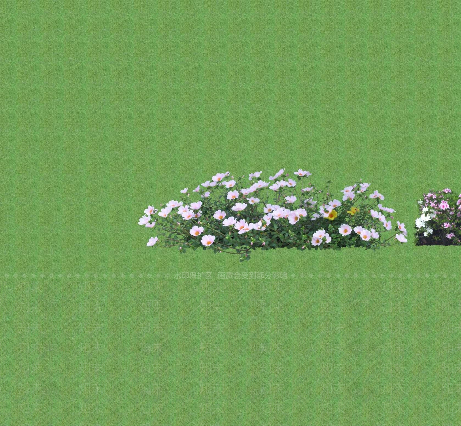 2D花草SU模型下载【ID:1201400969】