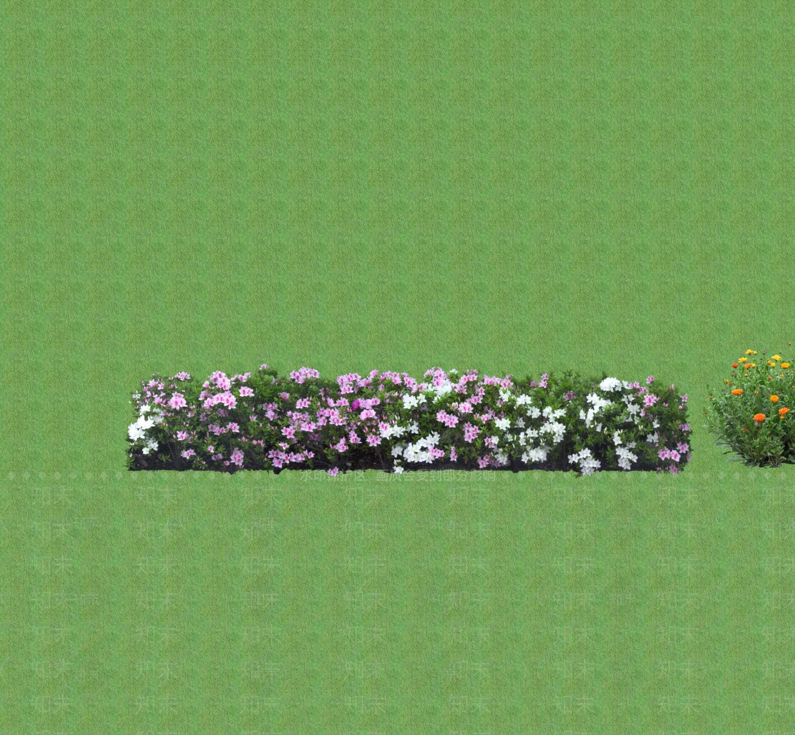 2D花草SU模型下载【ID:1201401091】