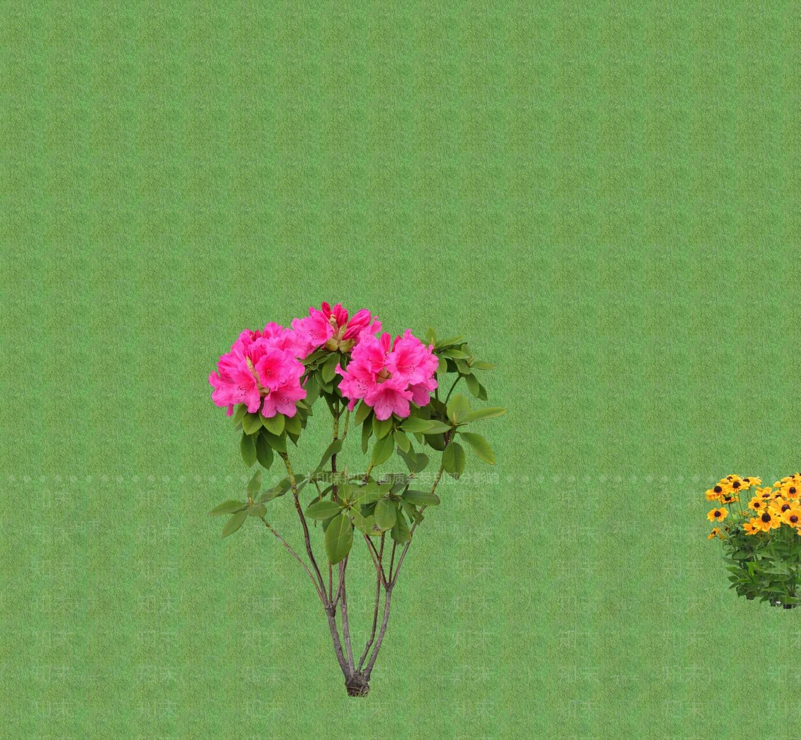 2D花草SU模型下载【ID:1201401174】