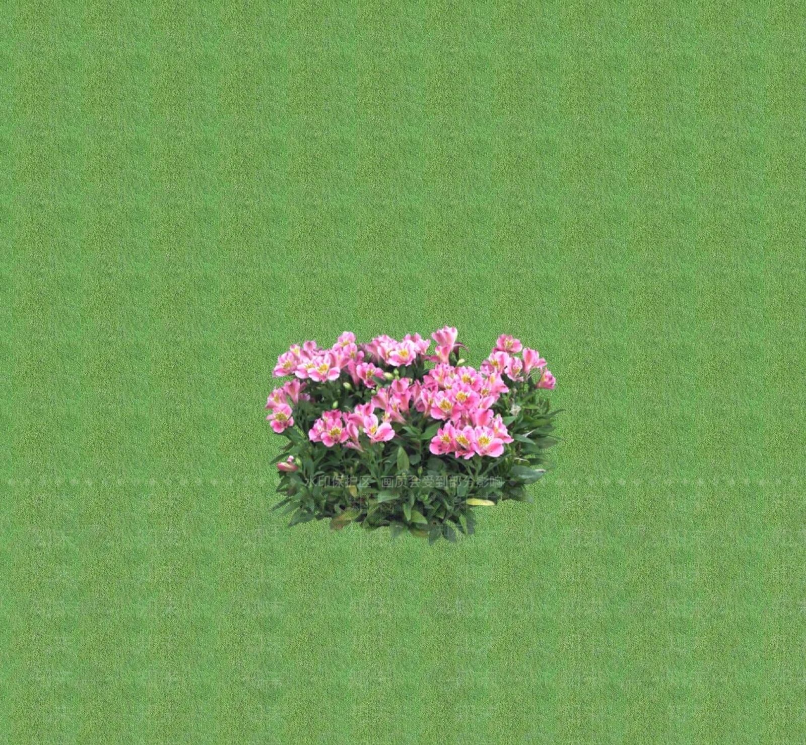 2D花草SU模型下载【ID:1201401280】
