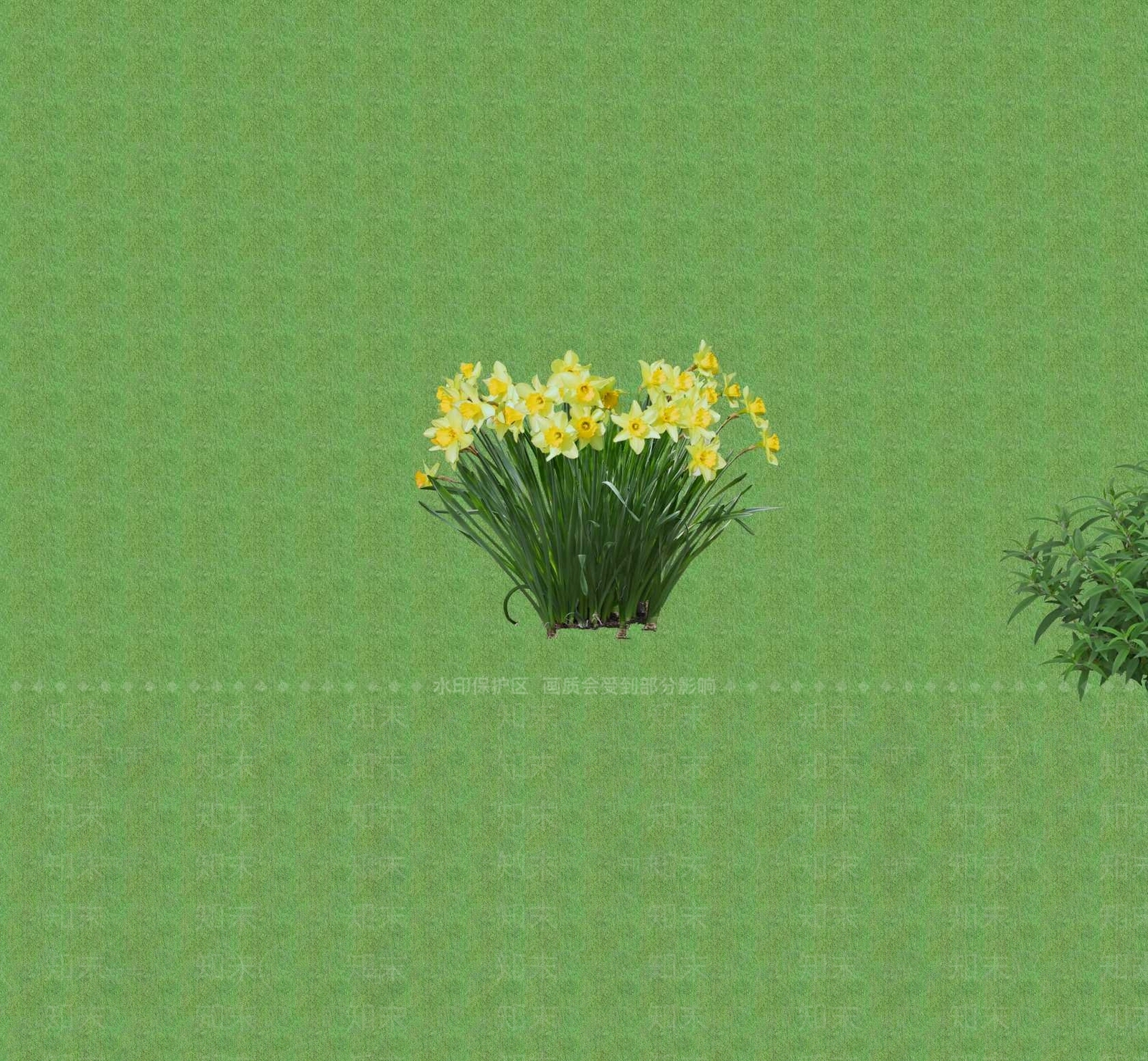 2D花草SU模型下载【ID:1201401219】
