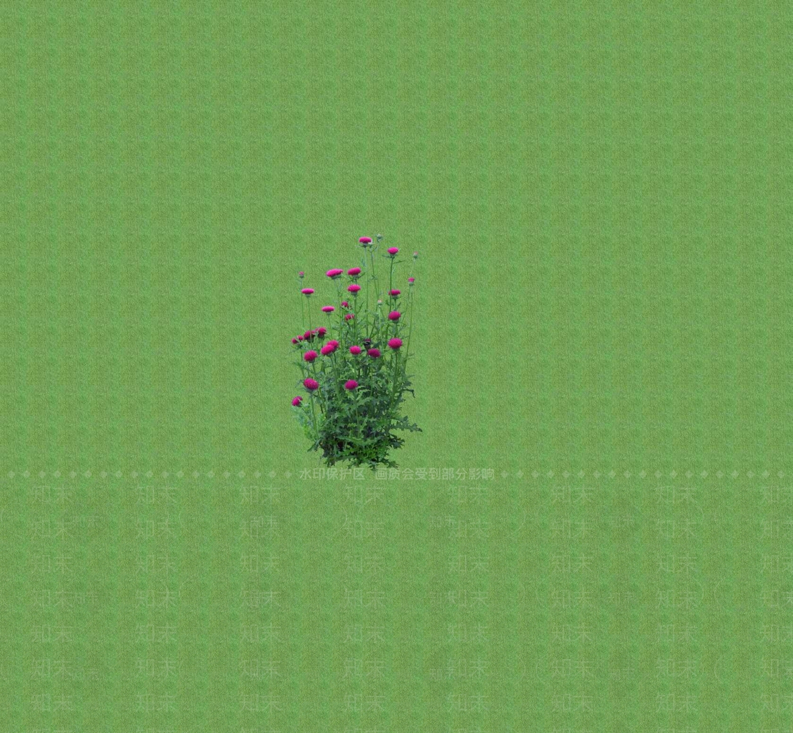 2D花草SU模型下载【ID:1201401308】