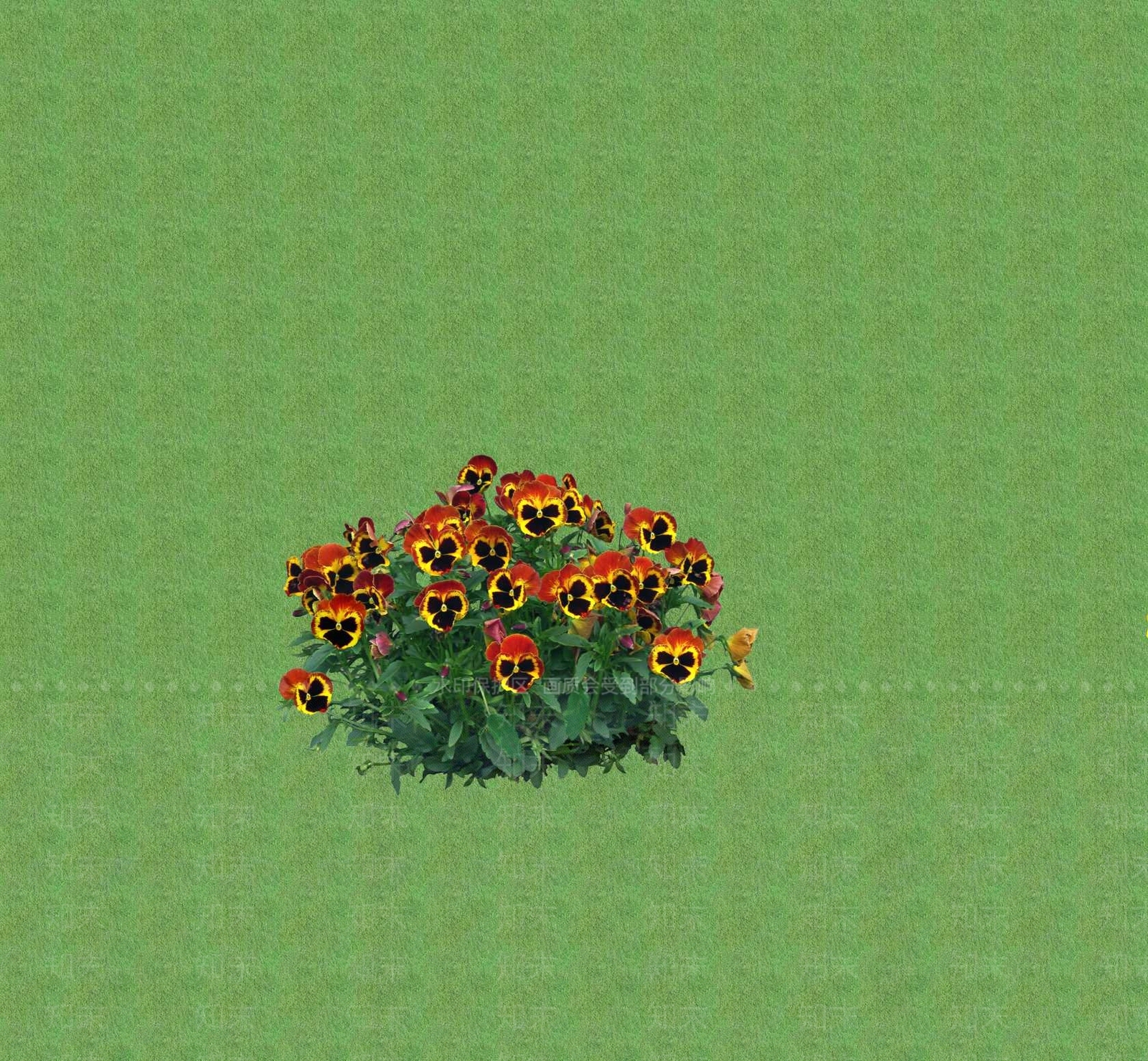 2D花草SU模型下载【ID:1201401552】